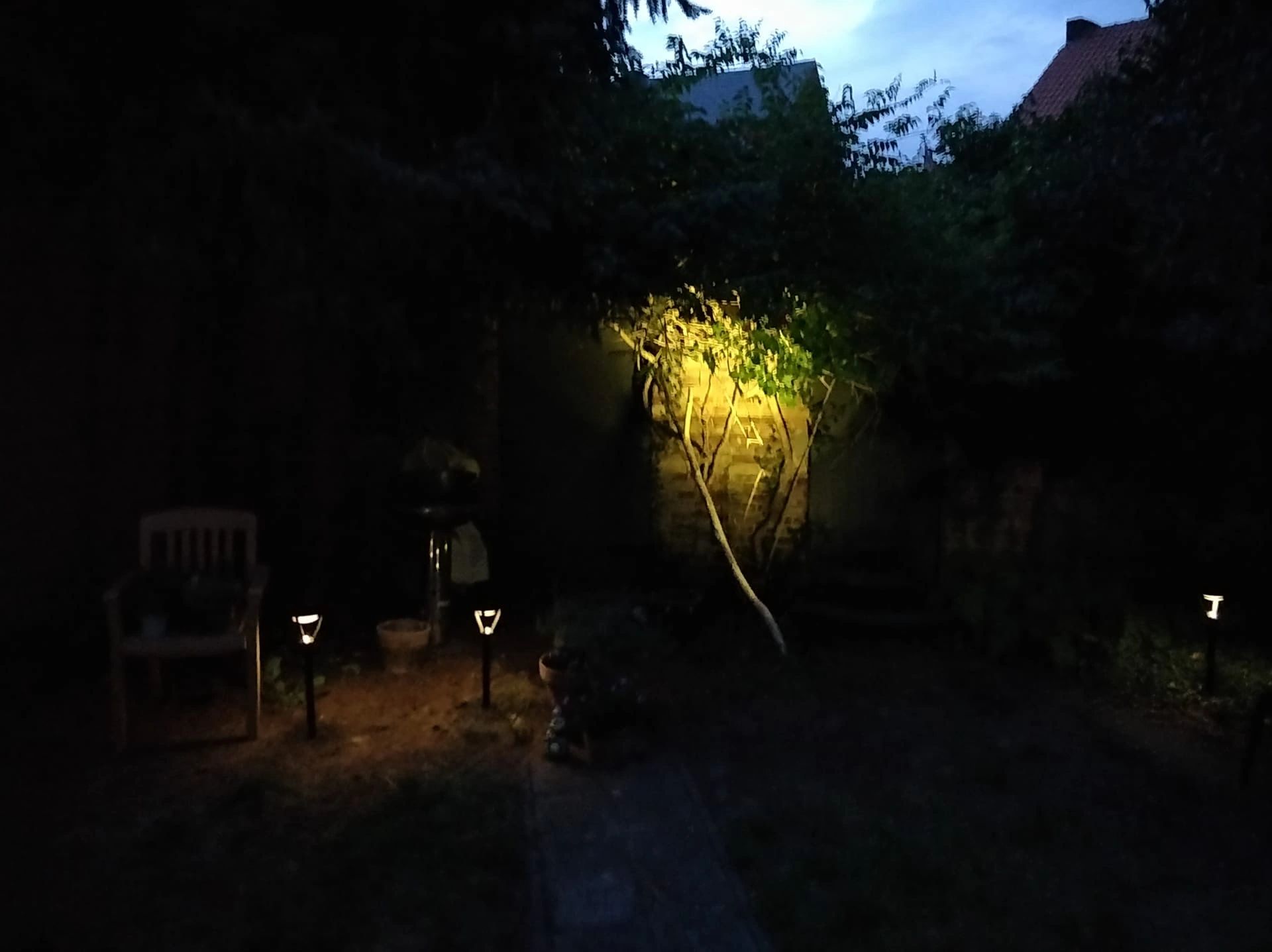 Solar priklamp Birdie zwart met warm wit licht
