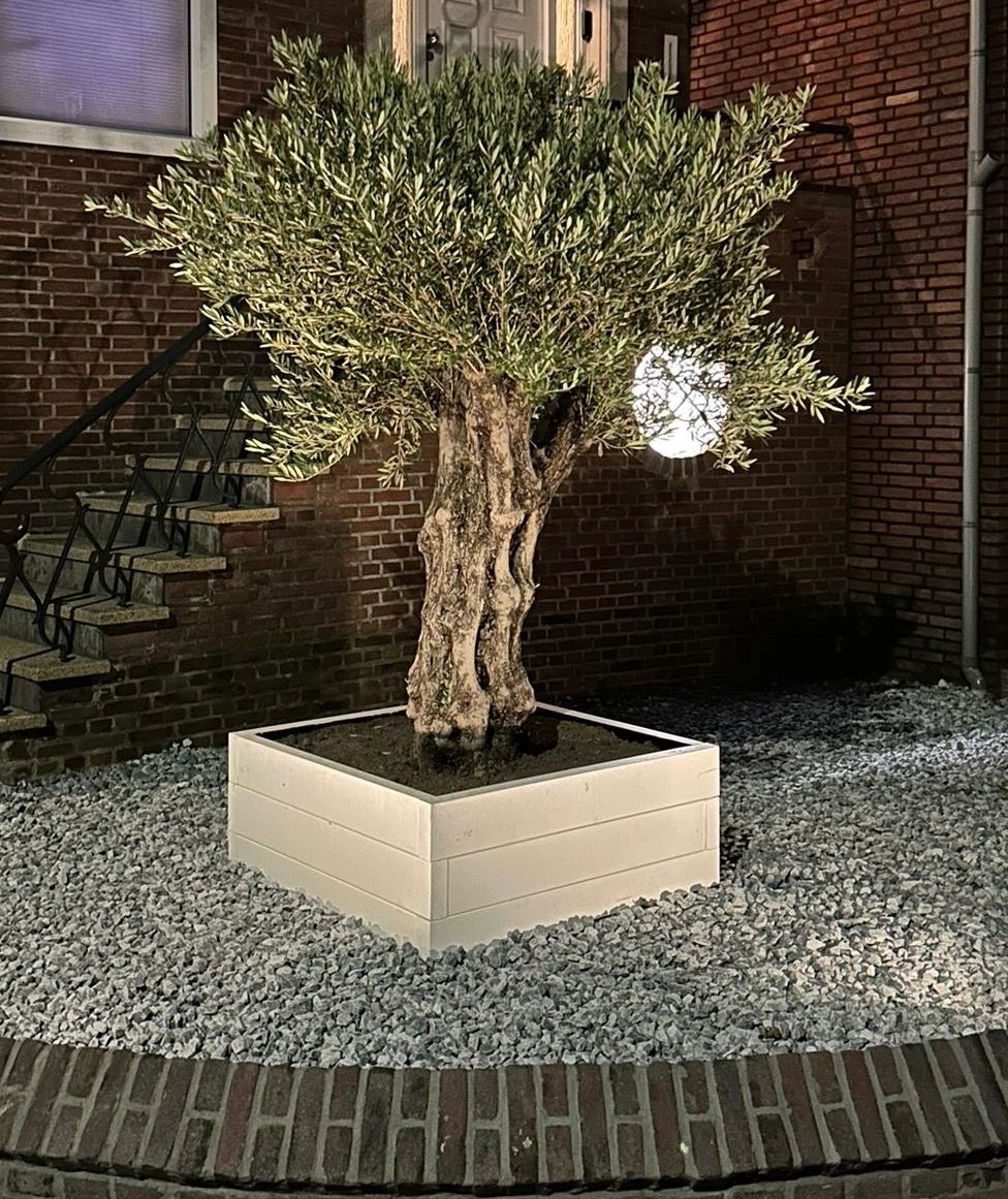 Solar spot Sunny Dual White tuinspot met grondspies - 3 stuks