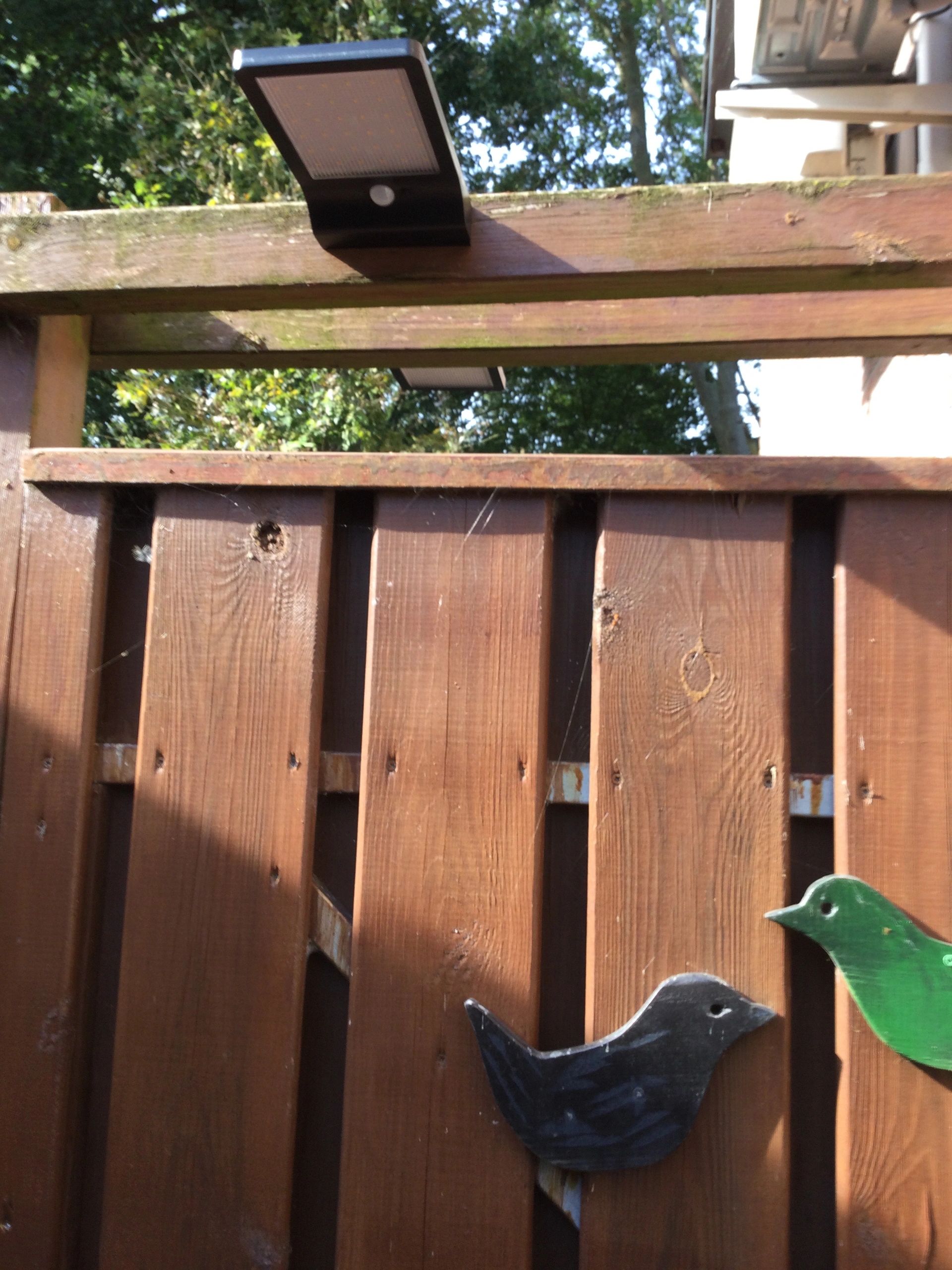 Solar wandlamp Slim met 36 leds en bewegingsmelder Zwart op zonne energie