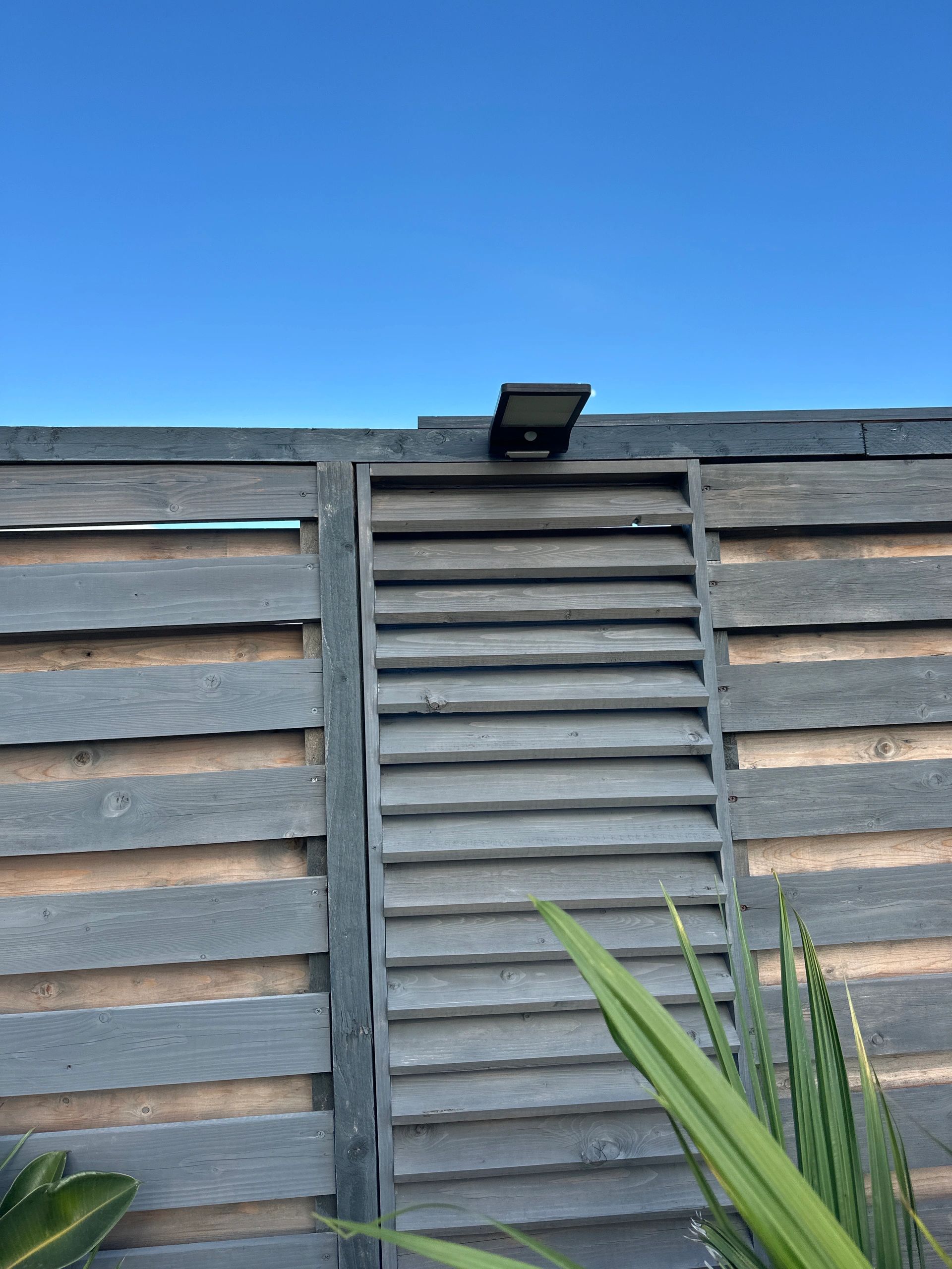 Solar wandlamp Slim met 36 leds en bewegingsmelder Zwart op zonne energie