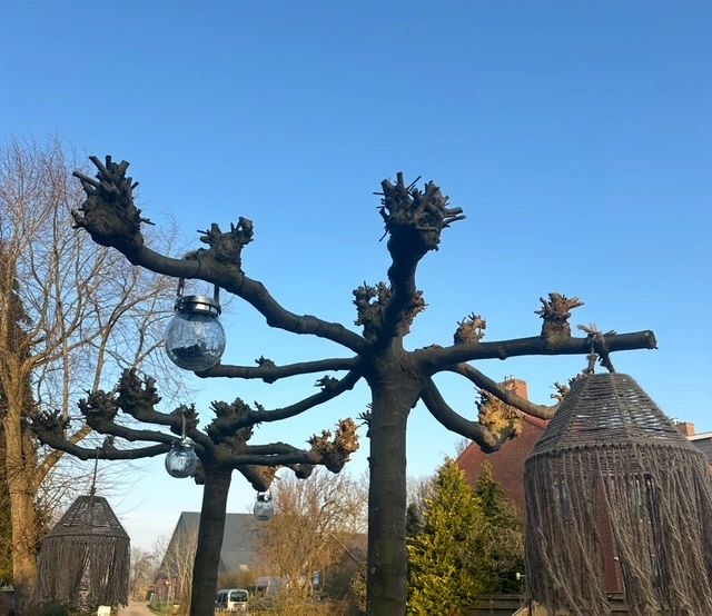 Solar hanglamp Betsy op zonne-energie - Voordeelset 3 stuks - Glazen bol met 30 leds