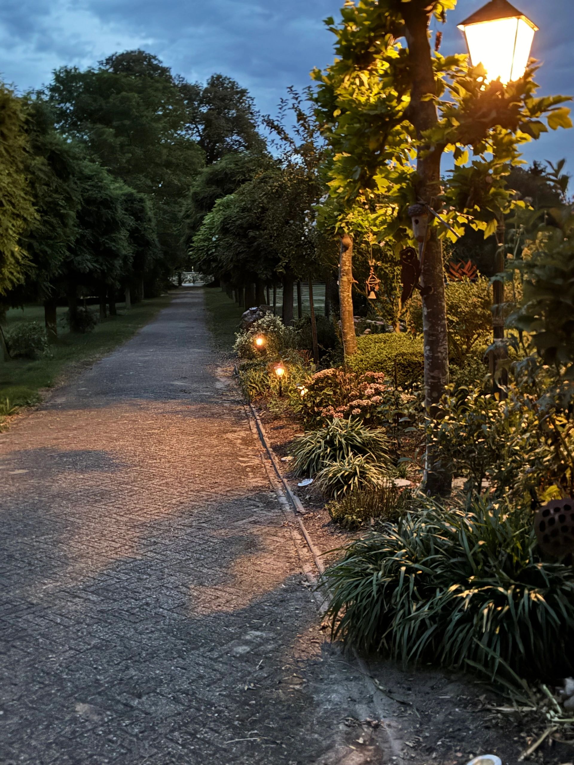 Solar LED priklamp Prickle | Warm wit licht | Voordeelset van 4 stuks