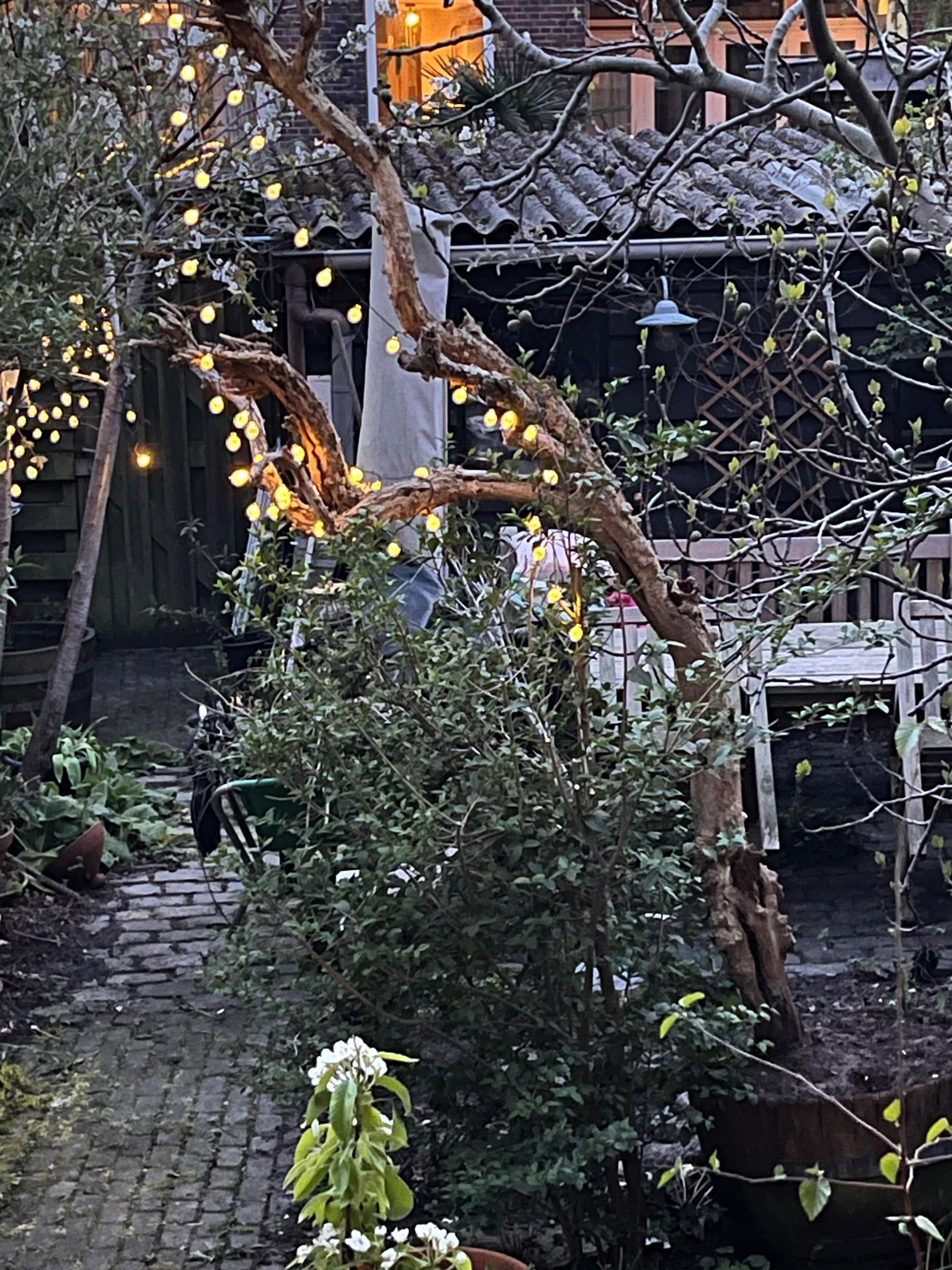 Solar lichtslinger Bubble met 50 warm witte led lampen