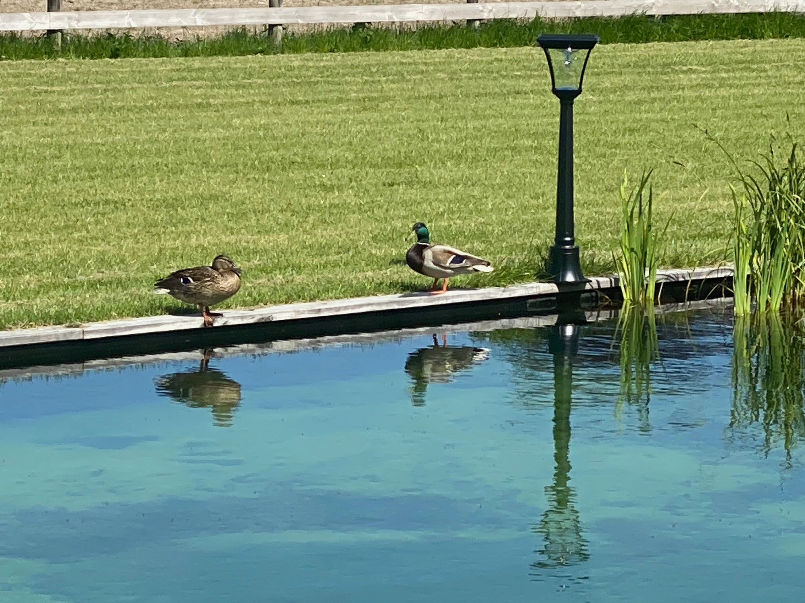 Solar buitenlamp London lantaarn midden hoog zwart op zonne energie