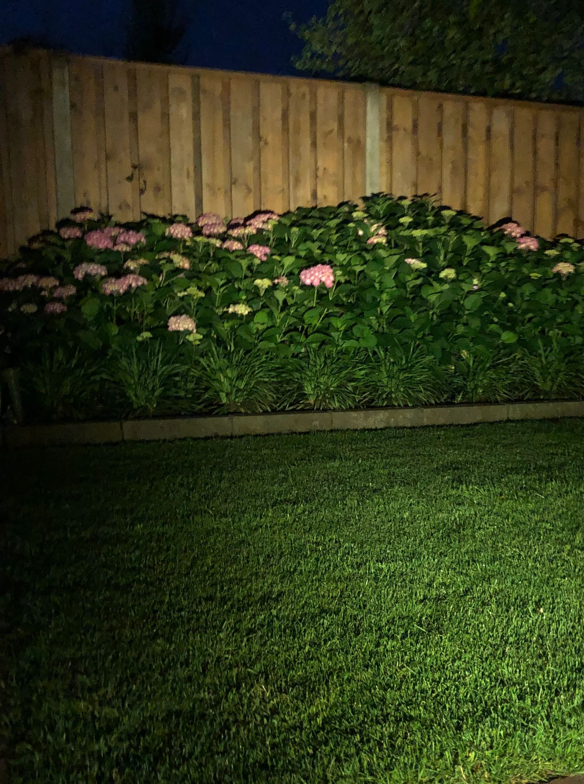 Solar spot Pulse 1 - Tuinspot op zonne energie met dimstand