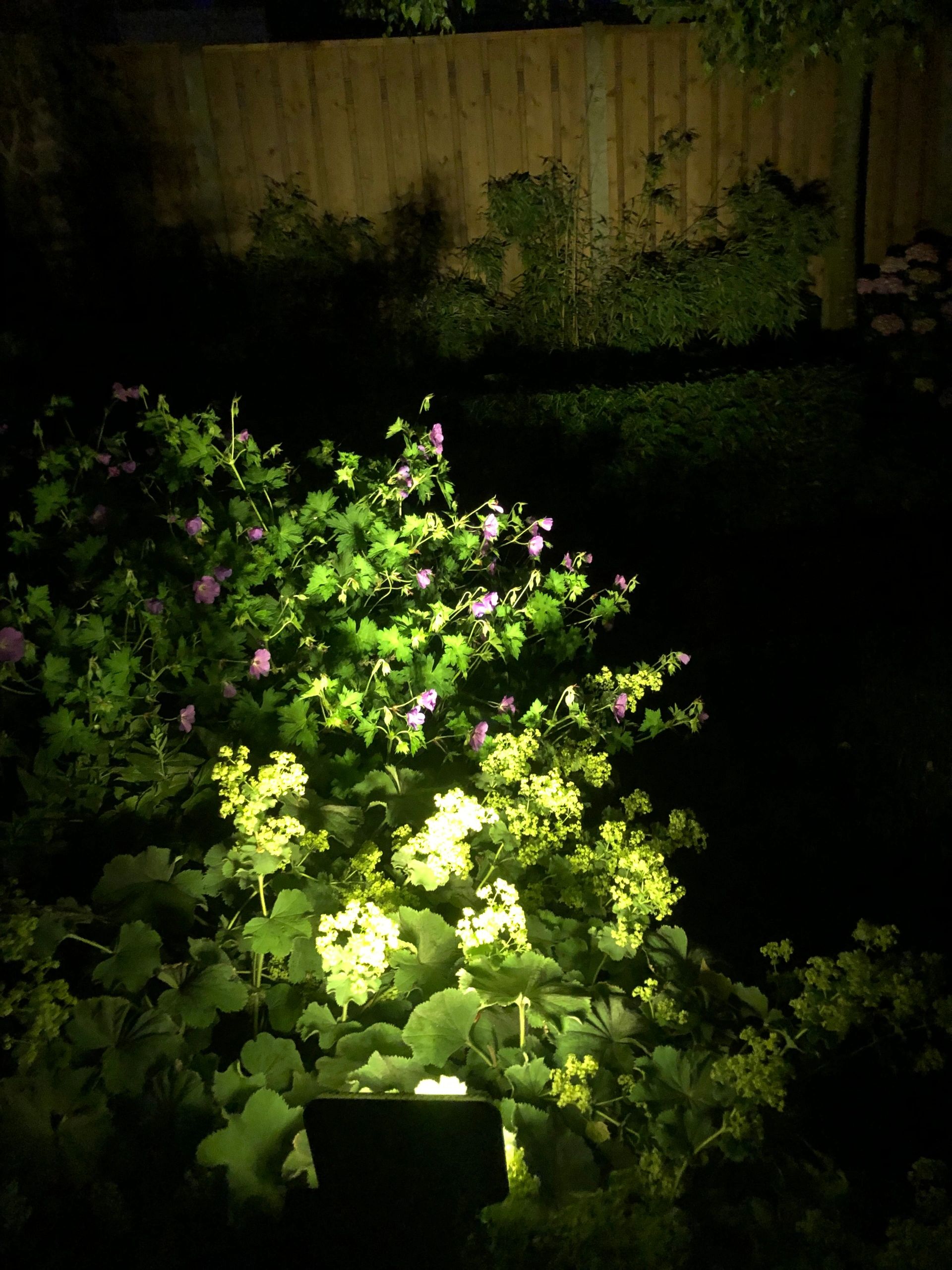 Solar spot Pulse 1 - Tuinspot op zonne energie met dimstand