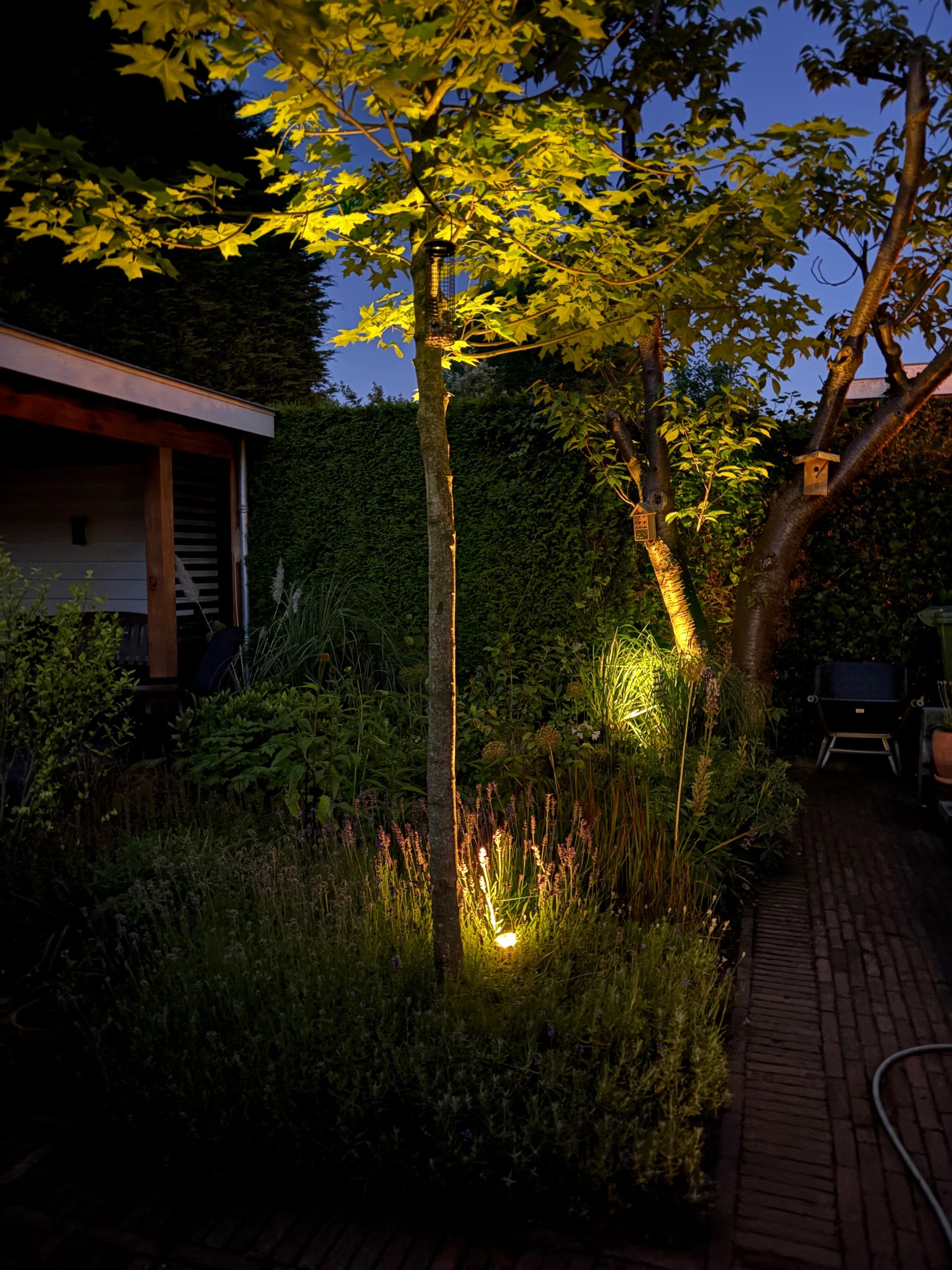 Solar spot Highlight voor wandmontage of grondspies warm wit voordeelset 3