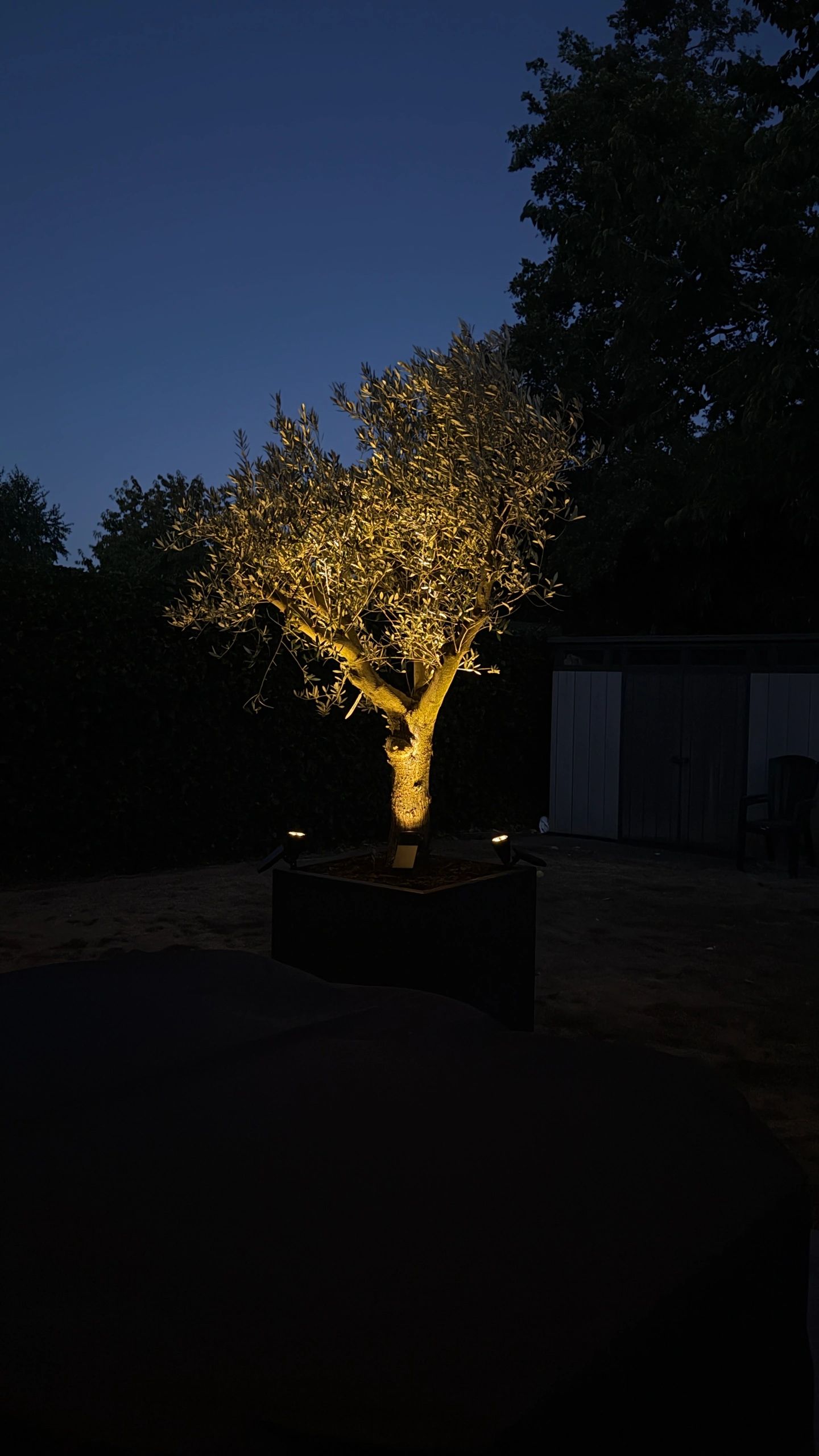 Solar wandspot Highlight voor wandmontage of grondspies - buitenlamp op zonne energie warm wit