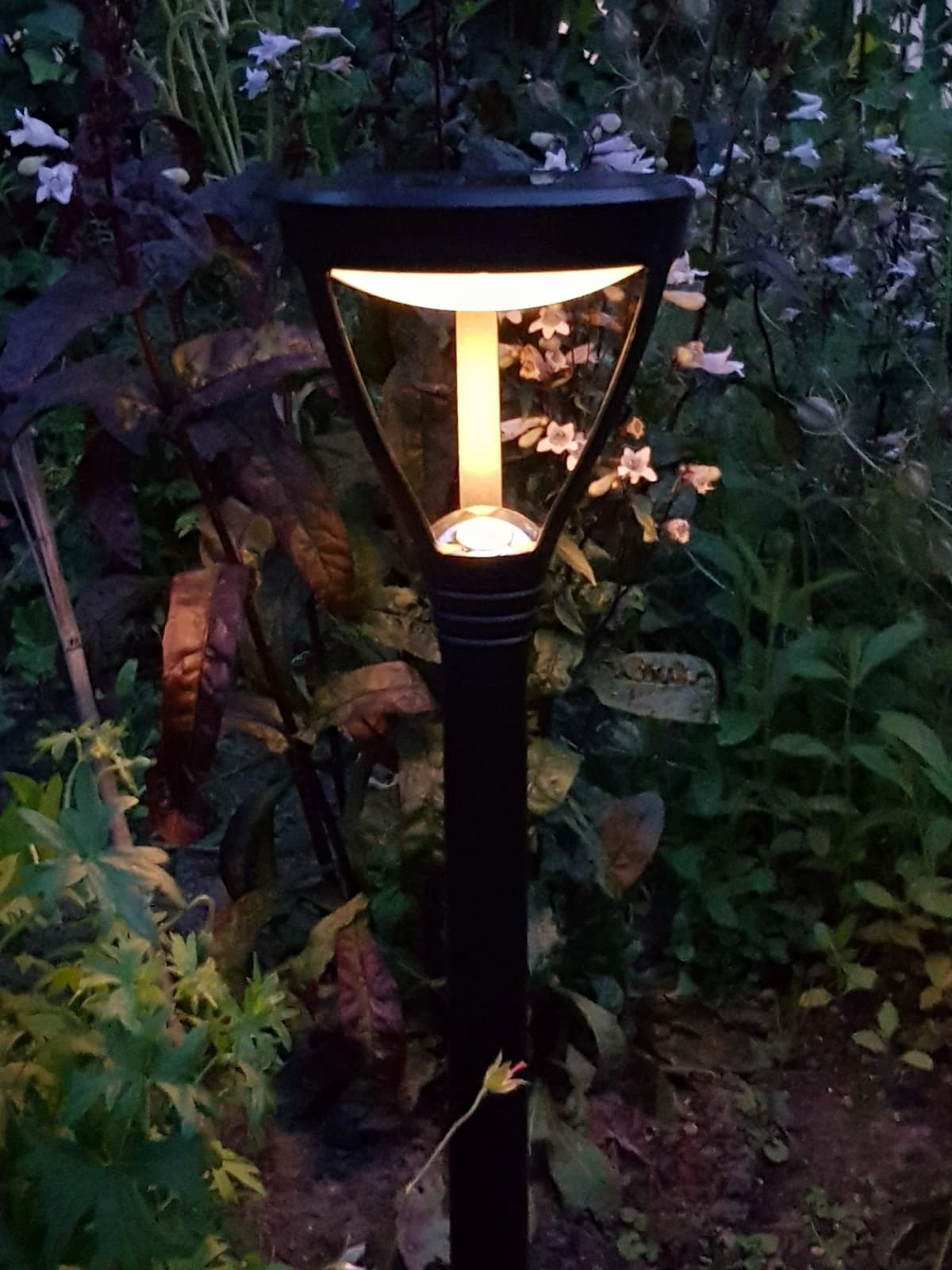 Solar priklamp Birdie zwart met warm wit licht