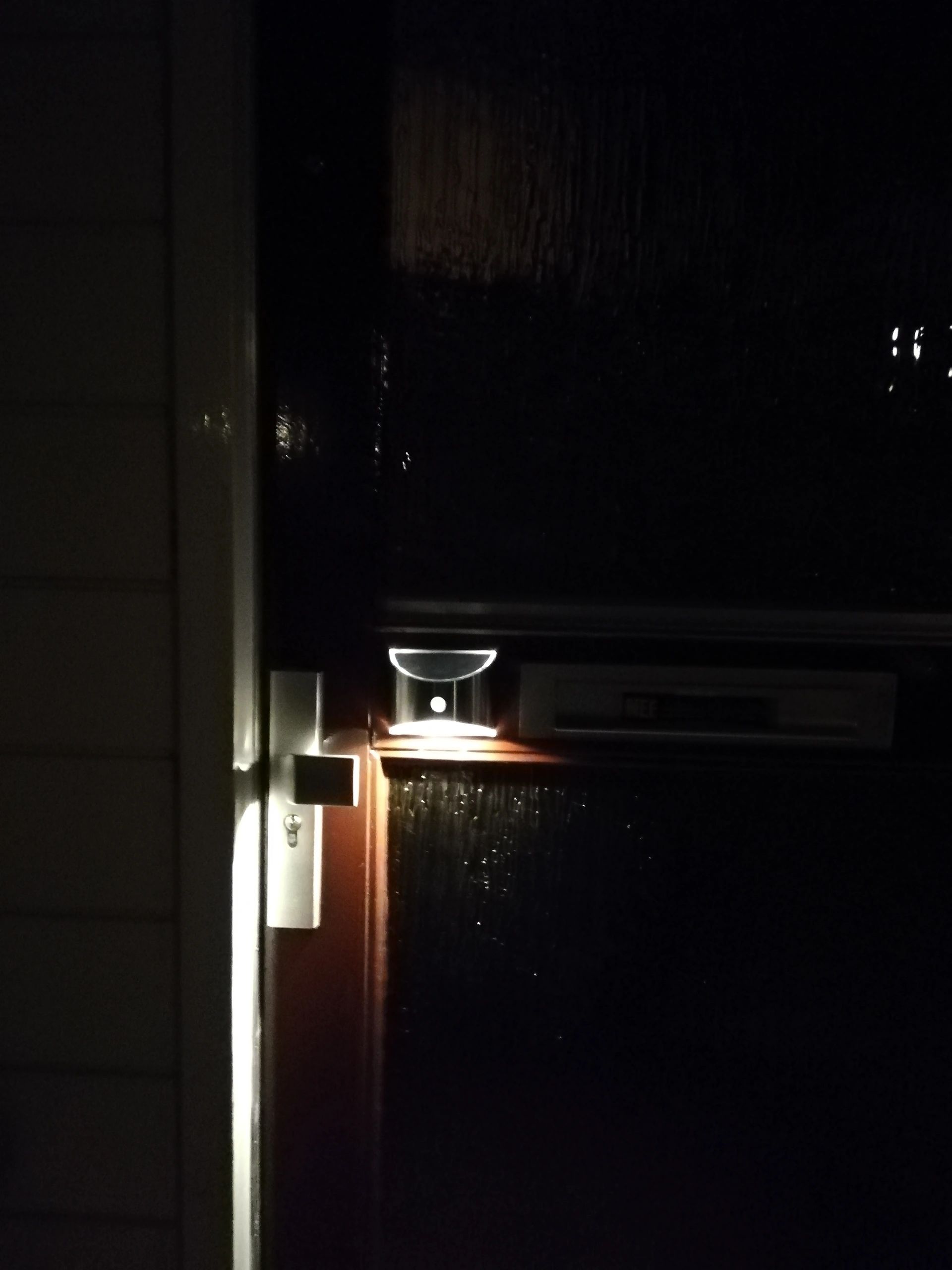 Solar wandlamp Flint RVS met bewegingsmelder op zonne energie