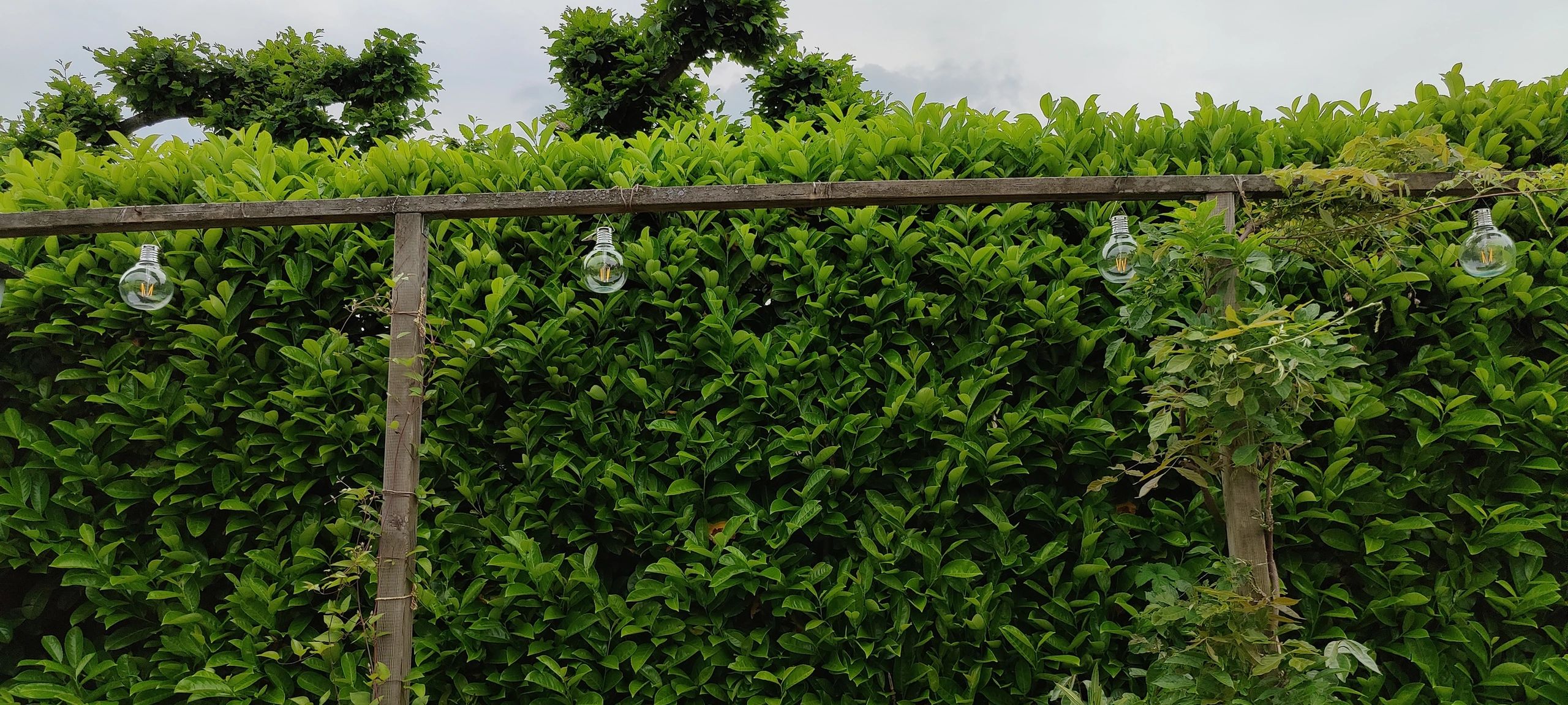 Solar filament lampen set van 4 Scoop met ophangklem