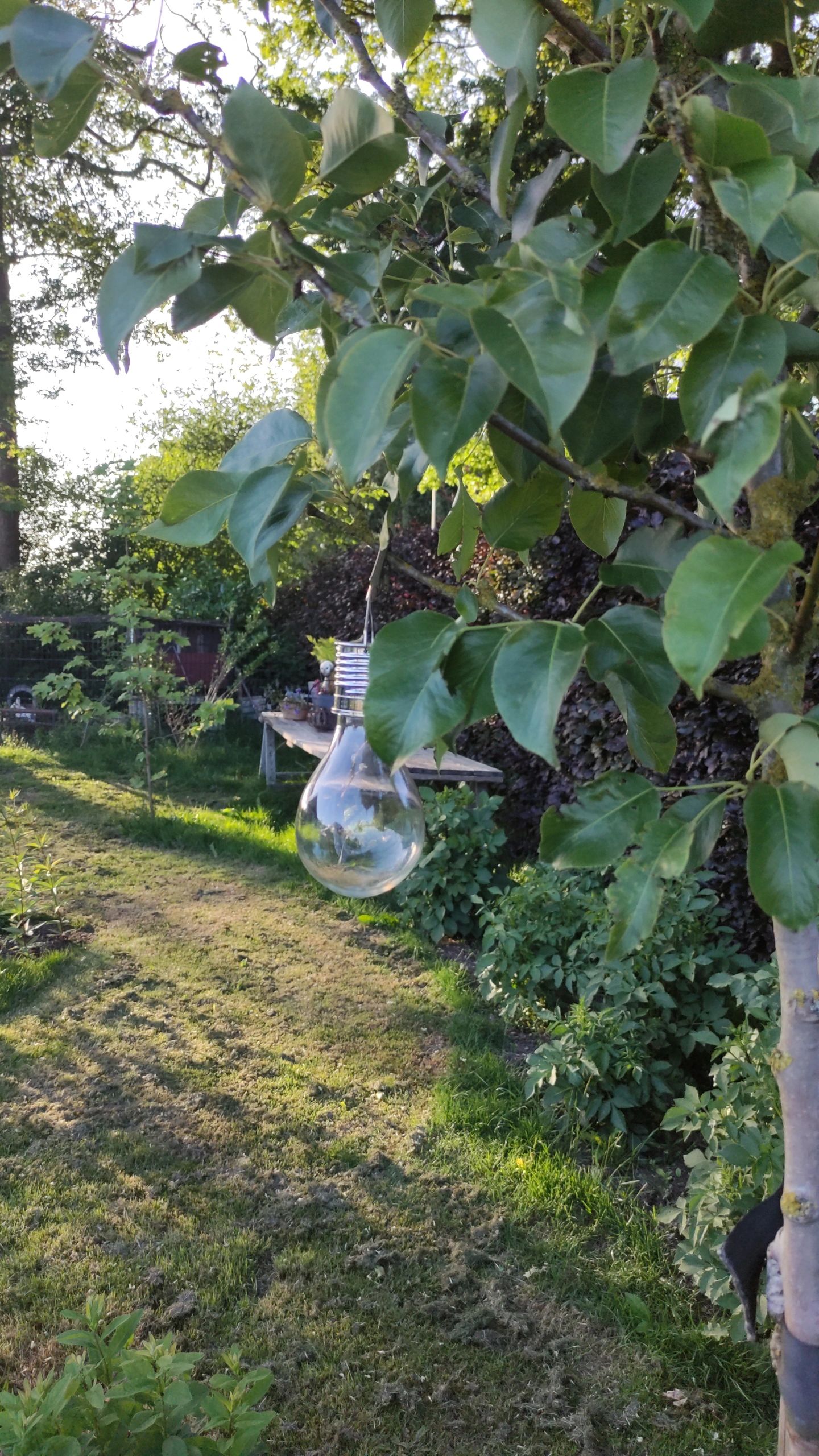 Solar LED lamp Eddy gloeilamp deco - set van 8 - op zonne energie