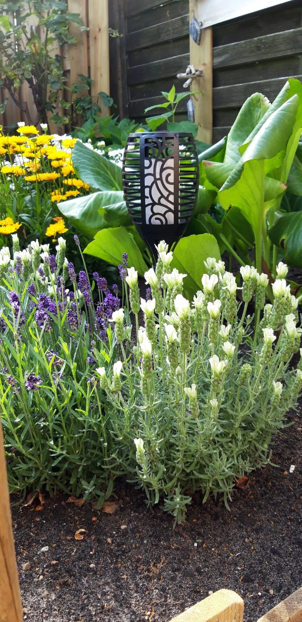 Solarlamp Fakkel Small voordeelset 3 stuks zwart met vlameffect