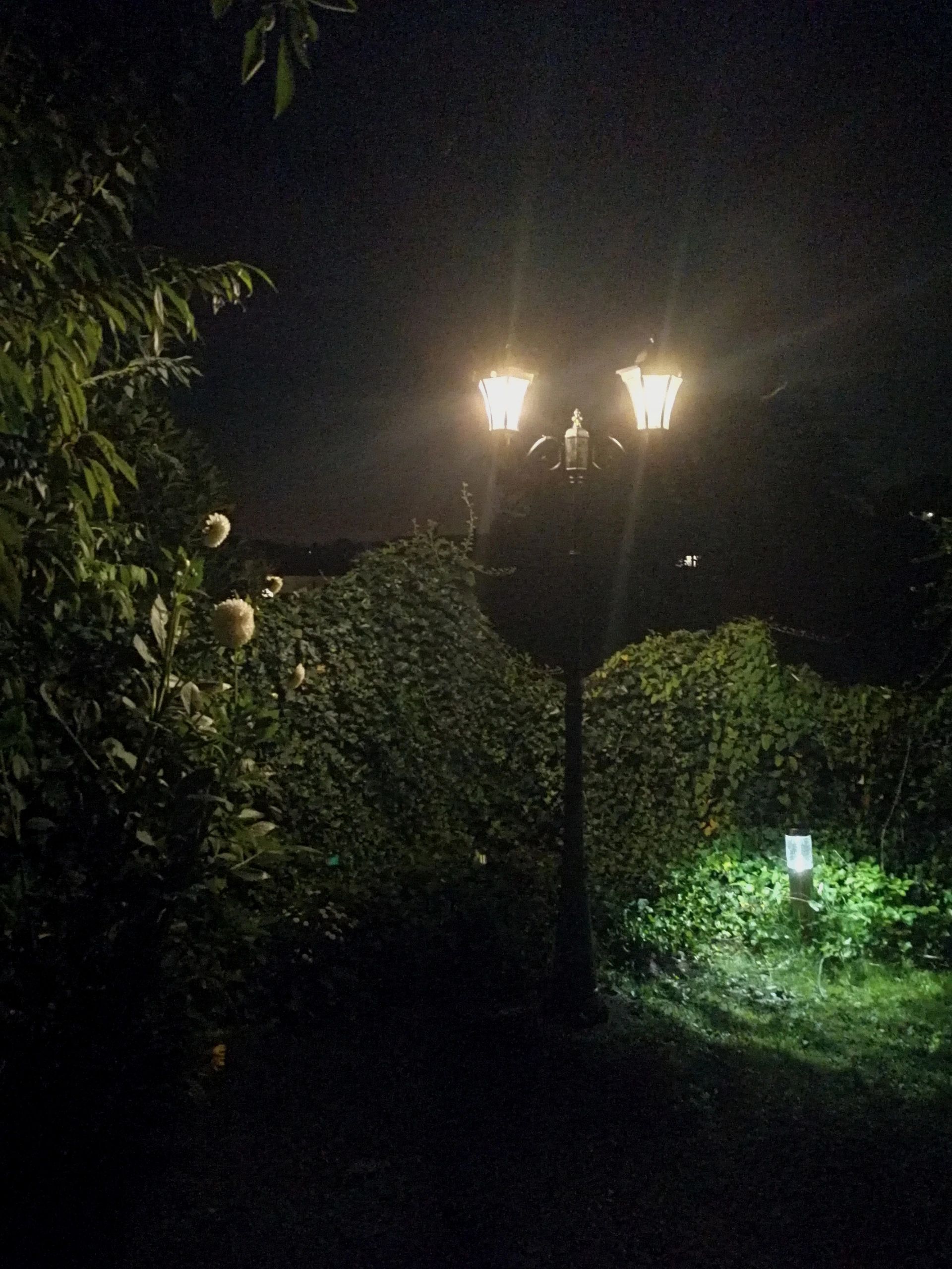 Solar lantaarn 2-lichts Sheffield hoog op zonne energie