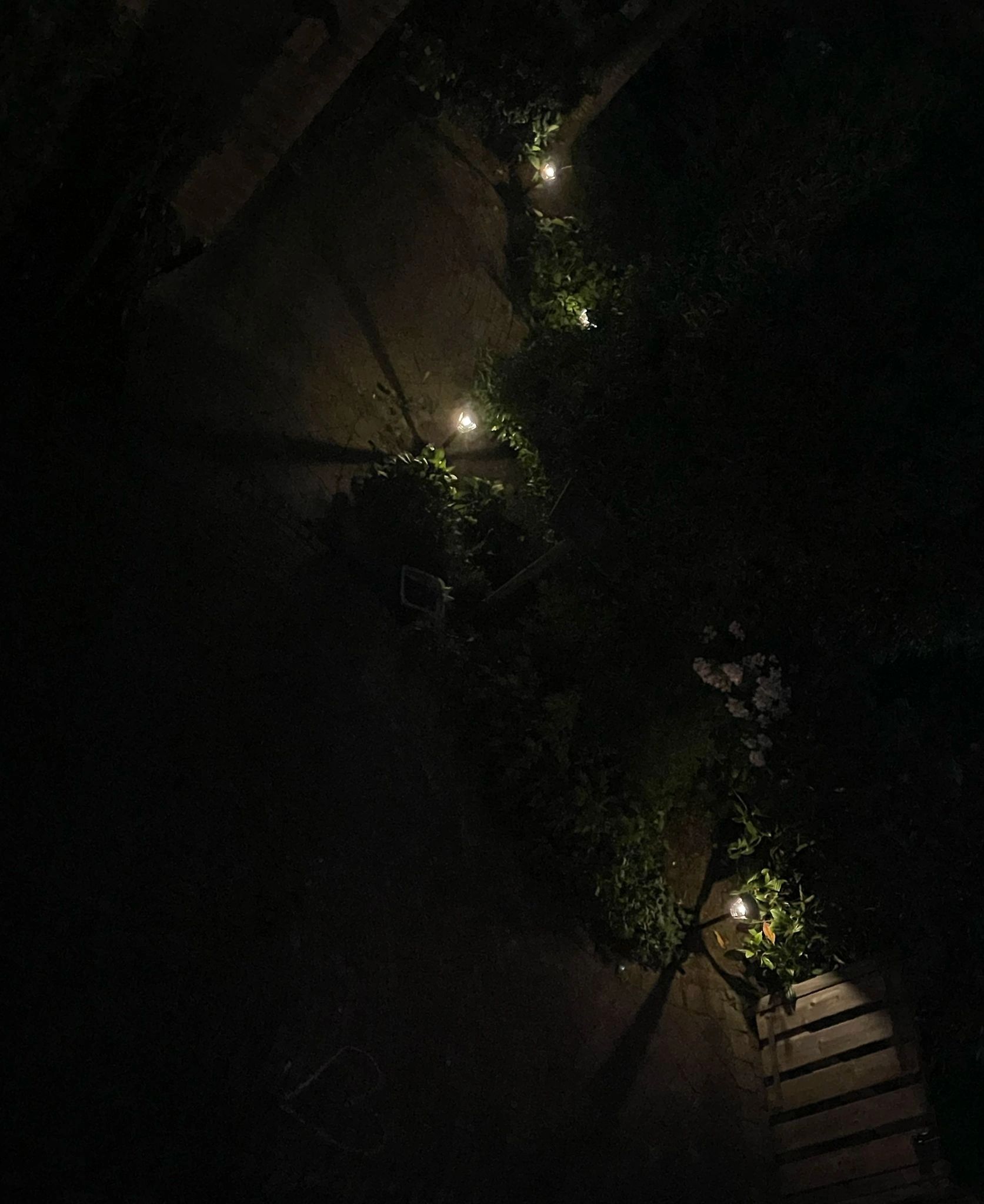 Solar priklamp Prickle met warm wit licht voordeelset van 4