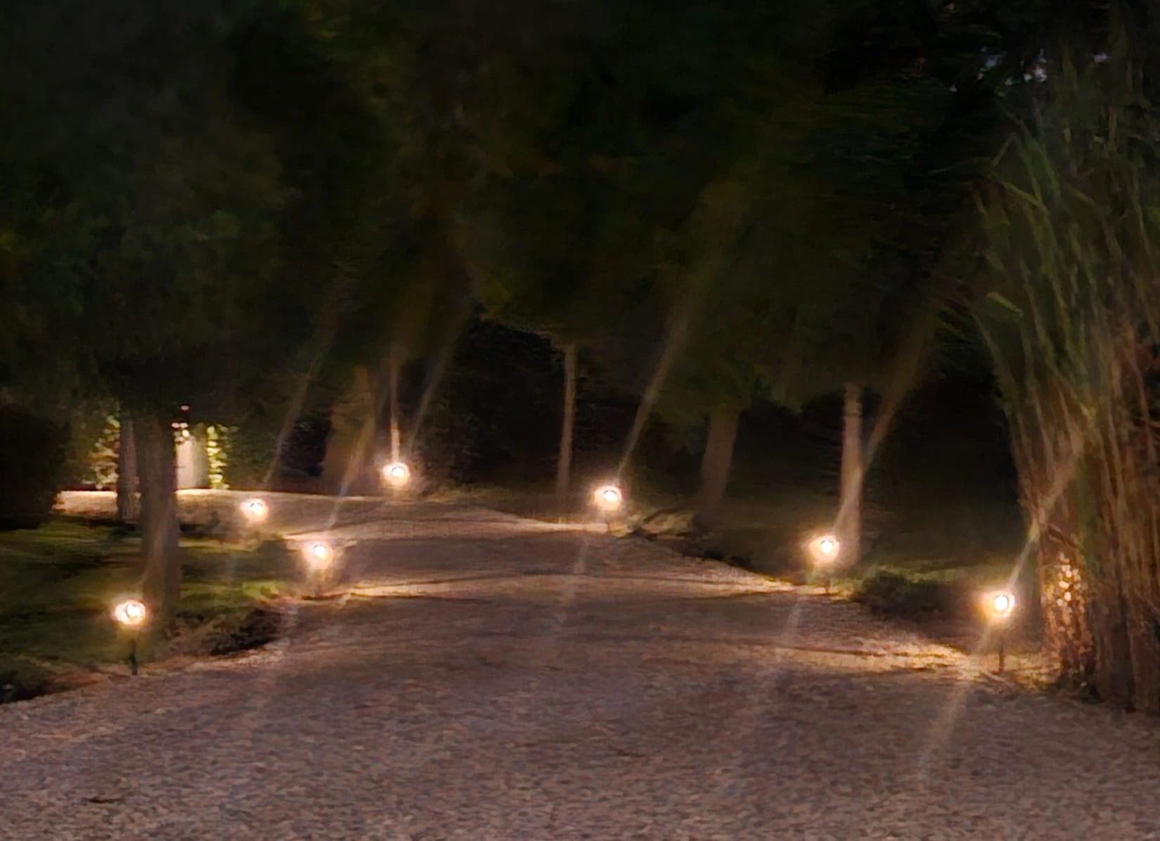 Solar priklamp Prickle met warm wit licht set van 2