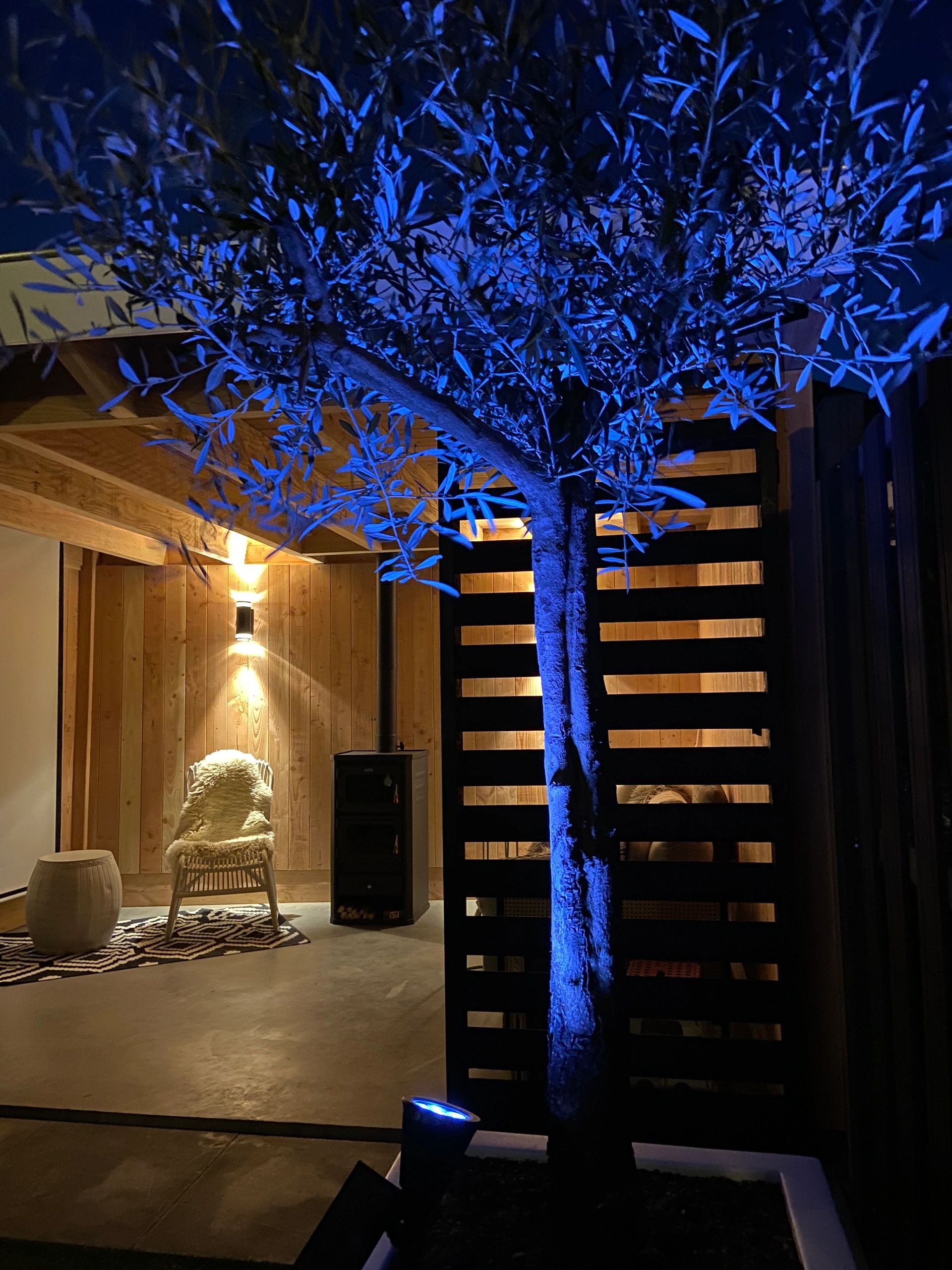 Slimme solar spot Highlight RGB met grondspies - Bedienen via de Smart Life app