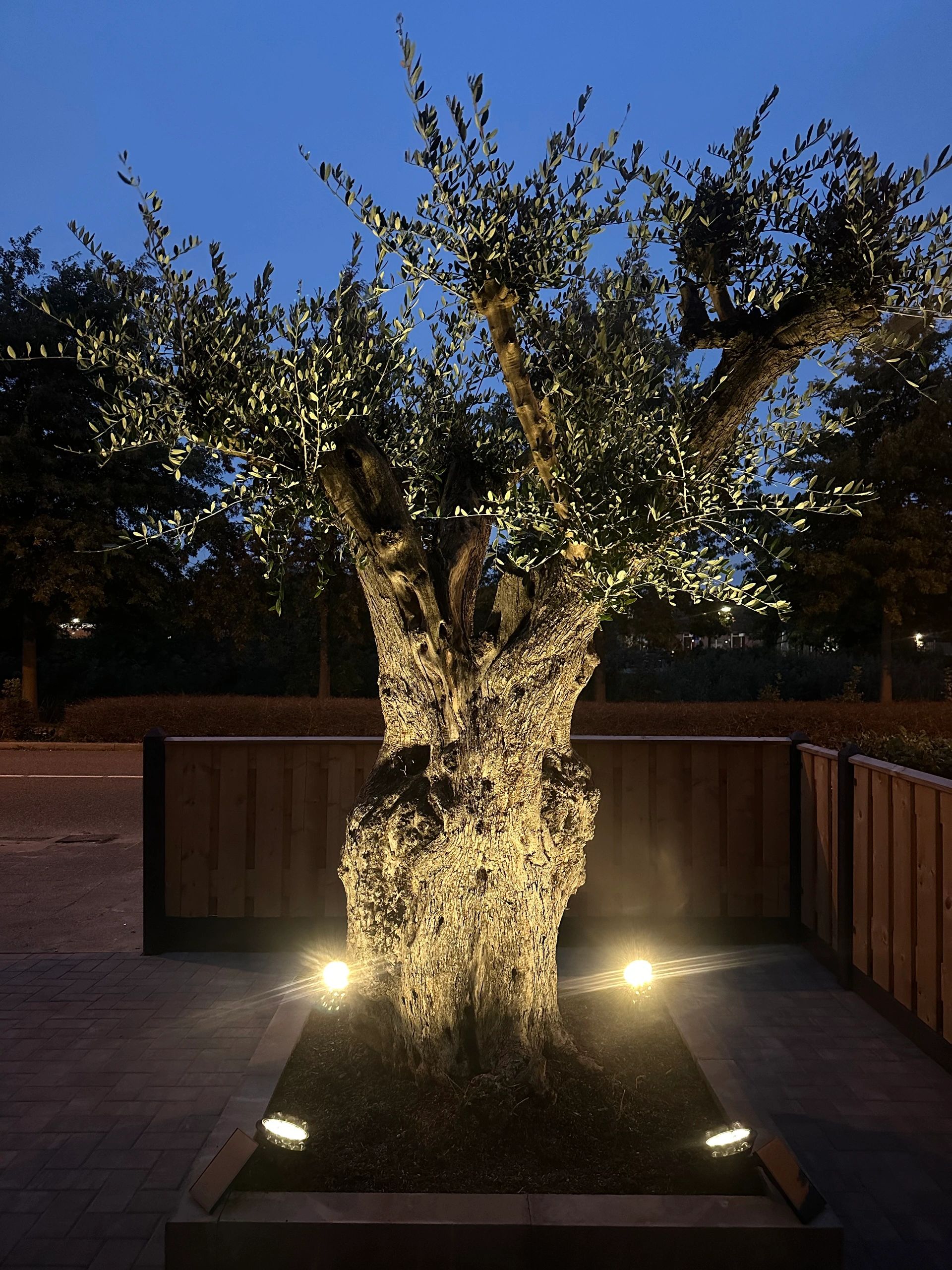 Solar spot Sunny Dual White tuinspot met grondspies - 3 stuks