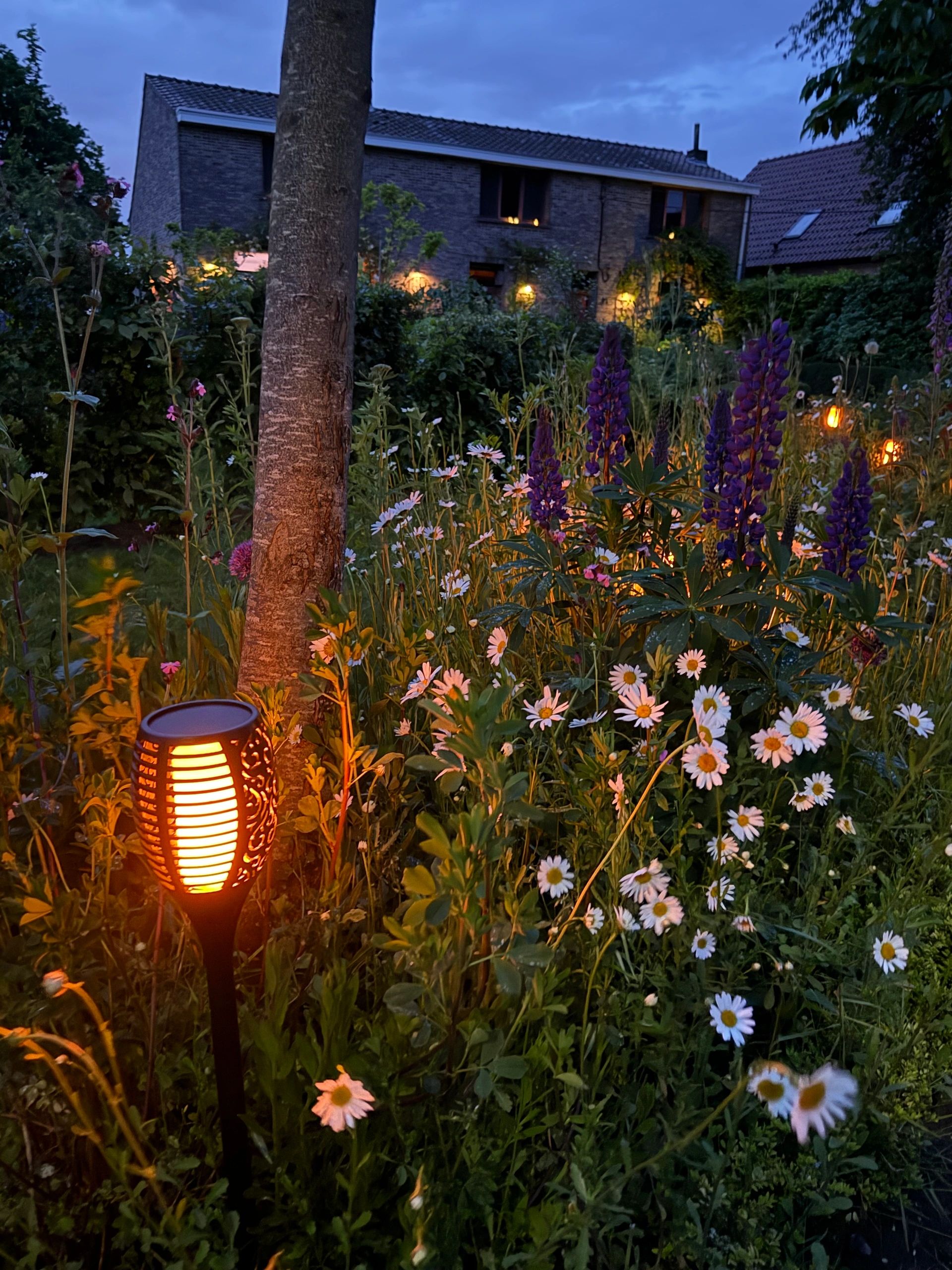 Solarlamp Fakkel voordeelset 4 zwart met schemersensor