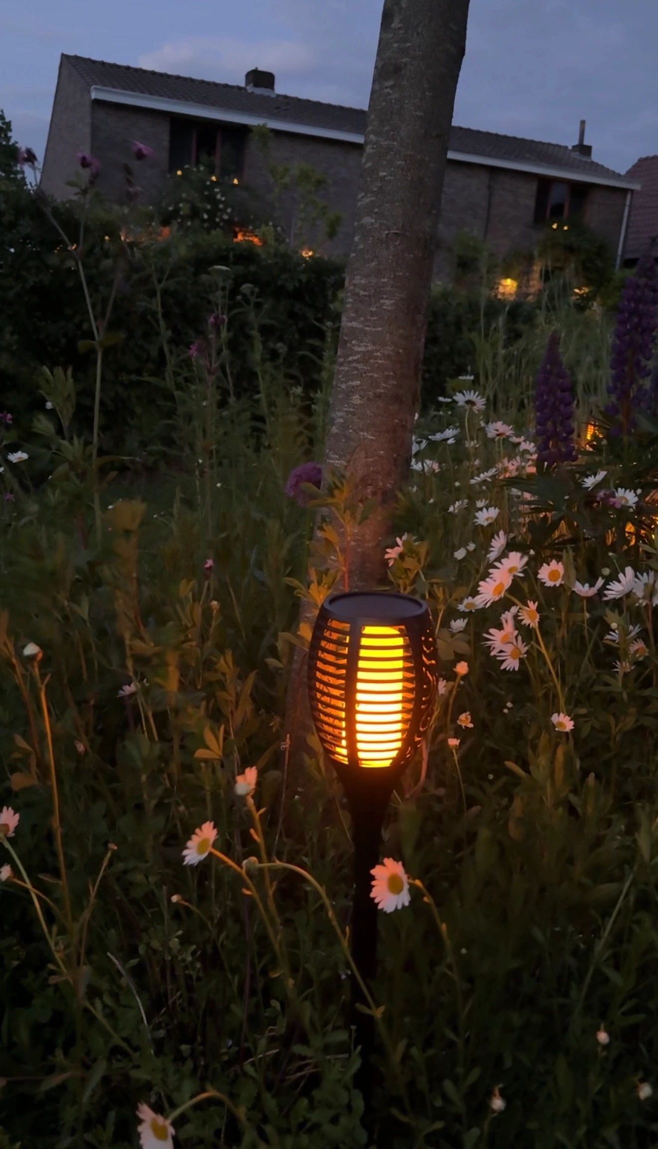 Solarlamp Fakkel voordeelset 4 zwart met schemersensor