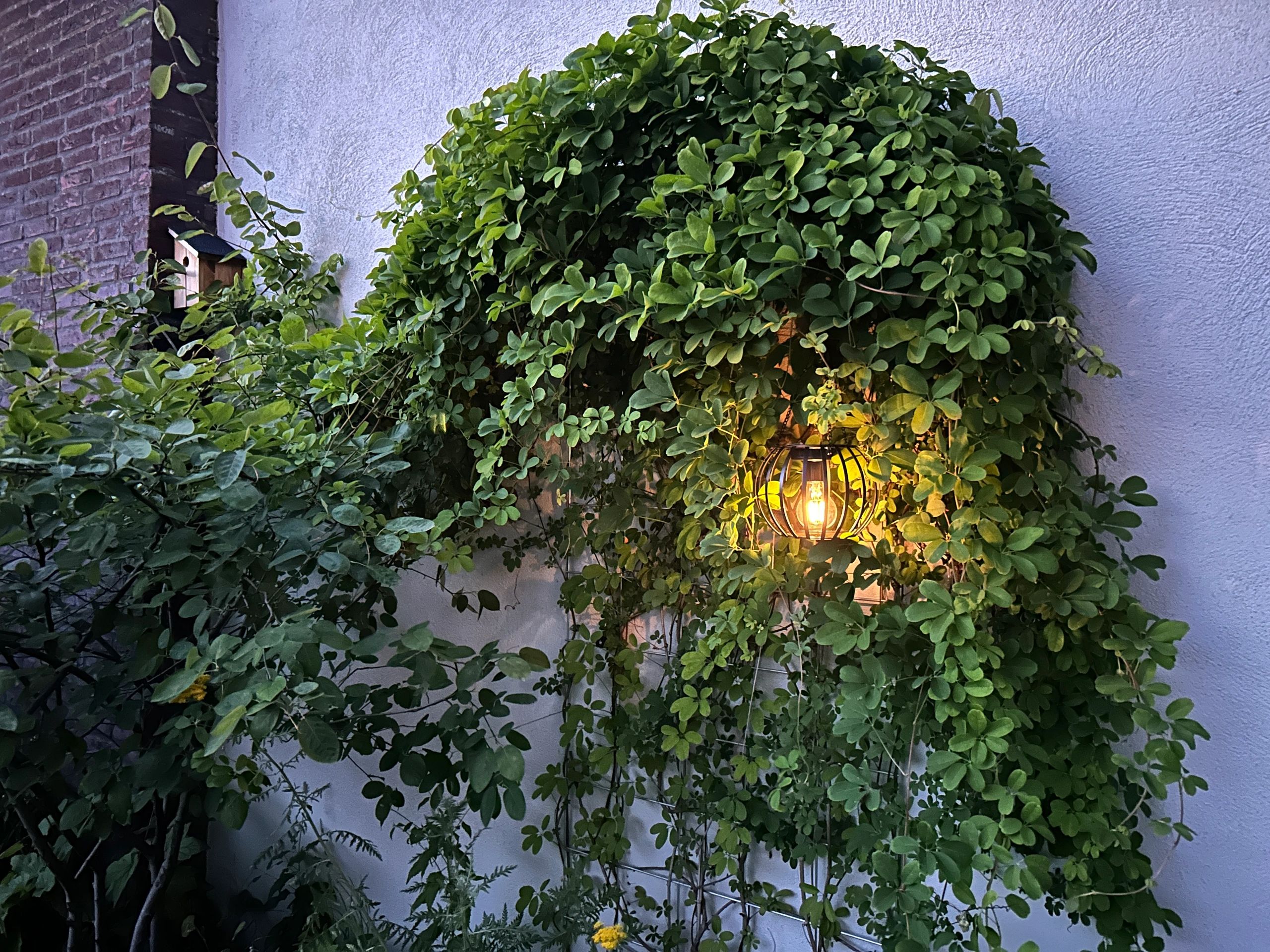 Solar hang- en tafellamp Manor op zonne-energie - Voordeelset van 2 stuks