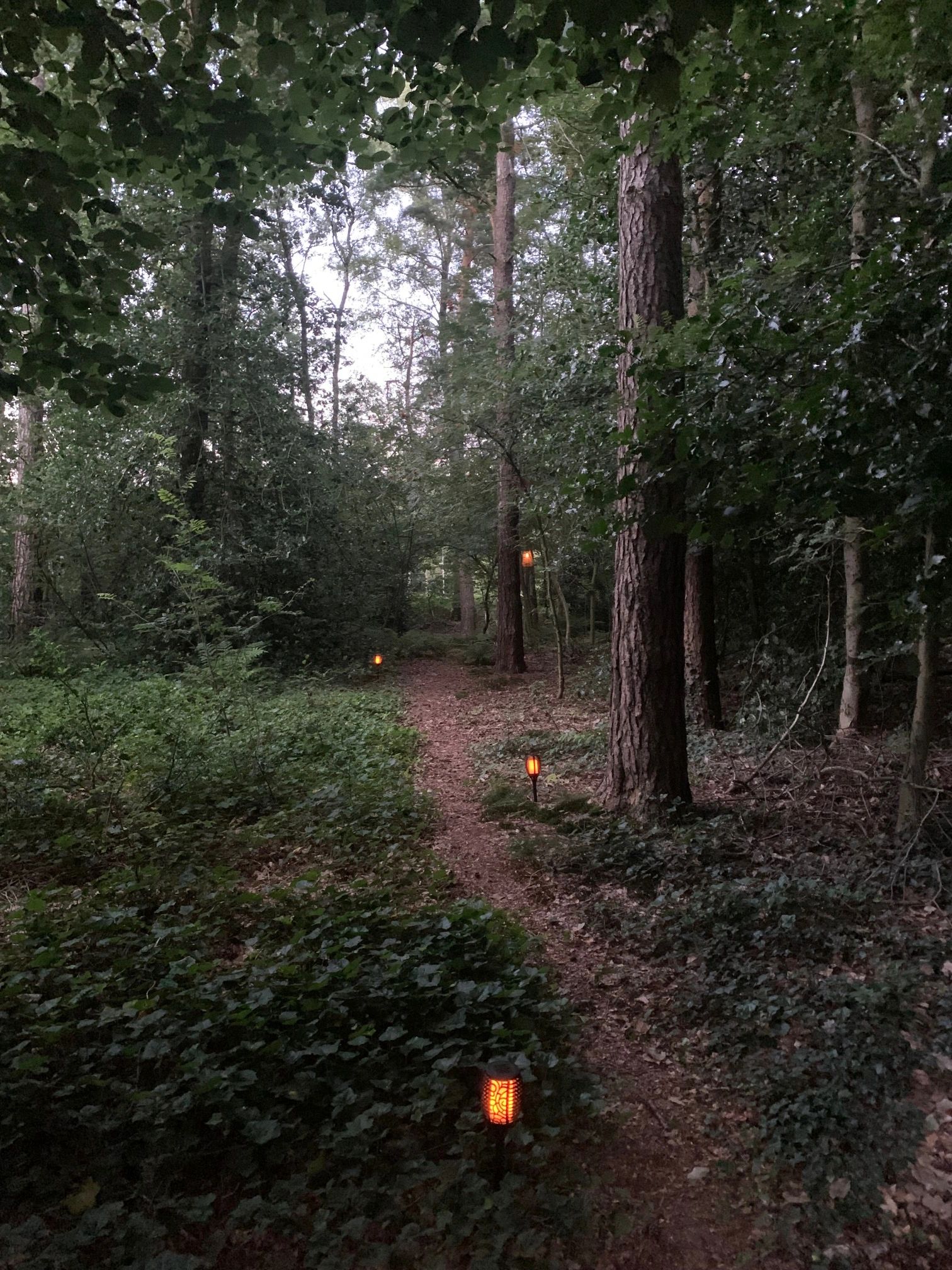 Solarlamp Fakkel Small voordeelset 4 stuks zwart met vlameffect