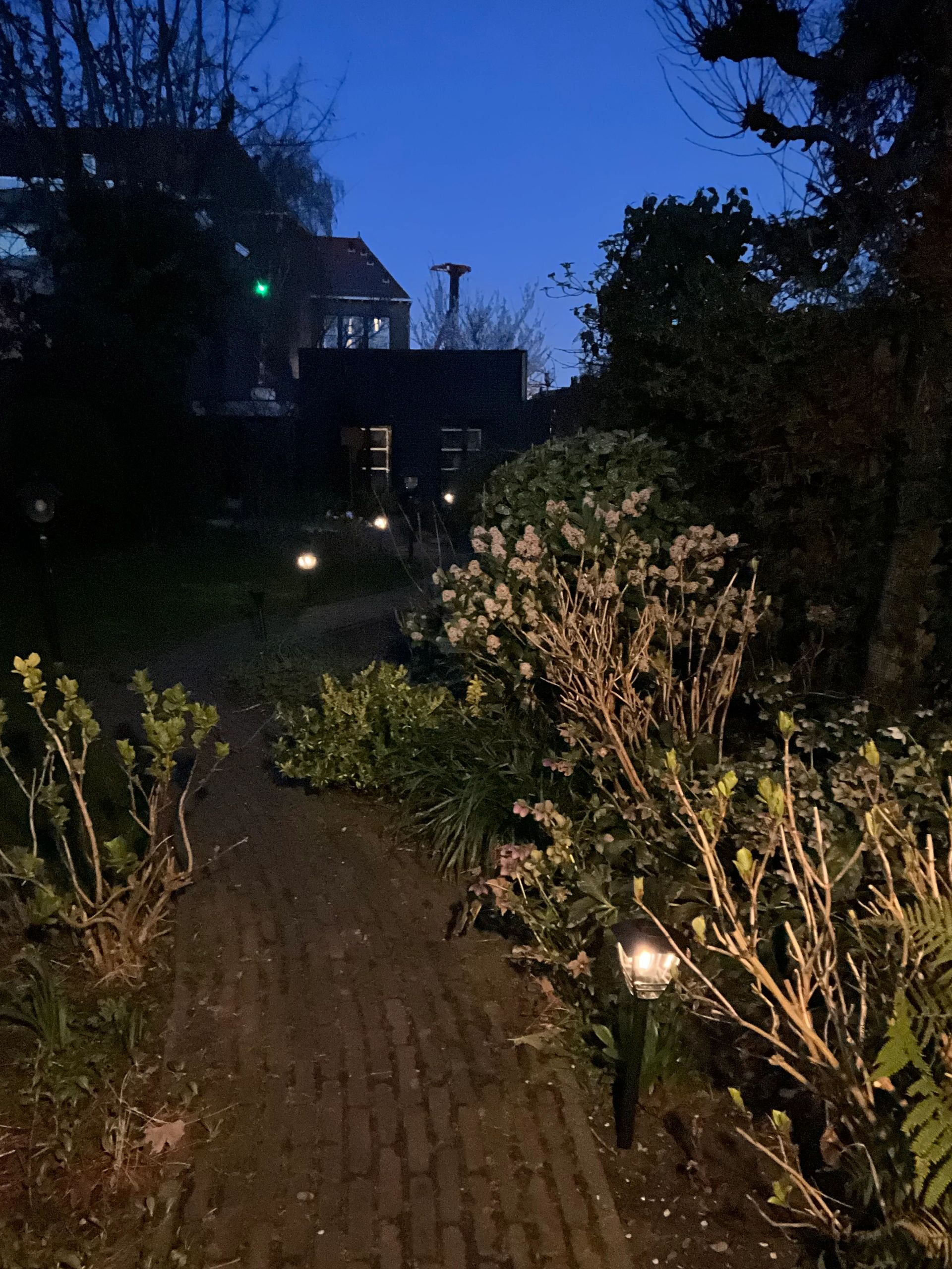 Solar priklamp Prickle met warm wit licht set van 2