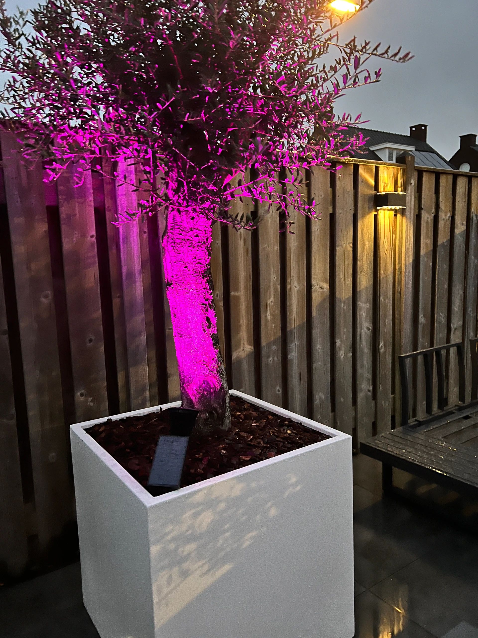 Slimme solar spot Highlight RGB met grondspies - Bedienen via de Smart Life app