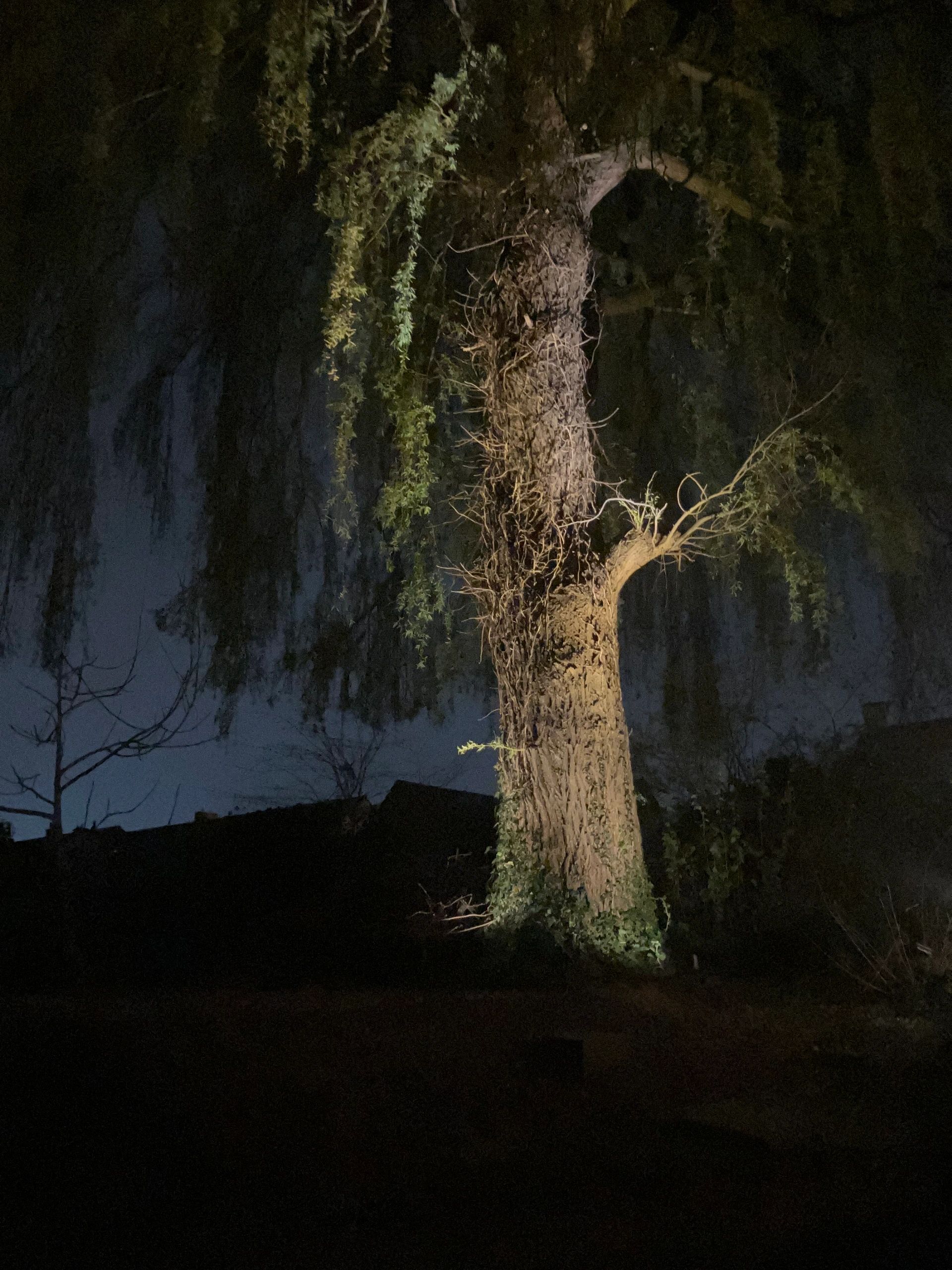 Solar wandspot Heads complete set met twee spots en los solarpaneel