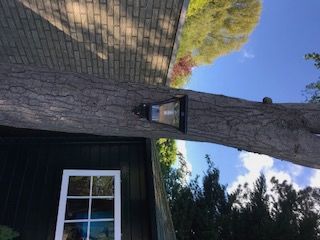 Solar buitenlamp London sokkel zwart met ledlamp