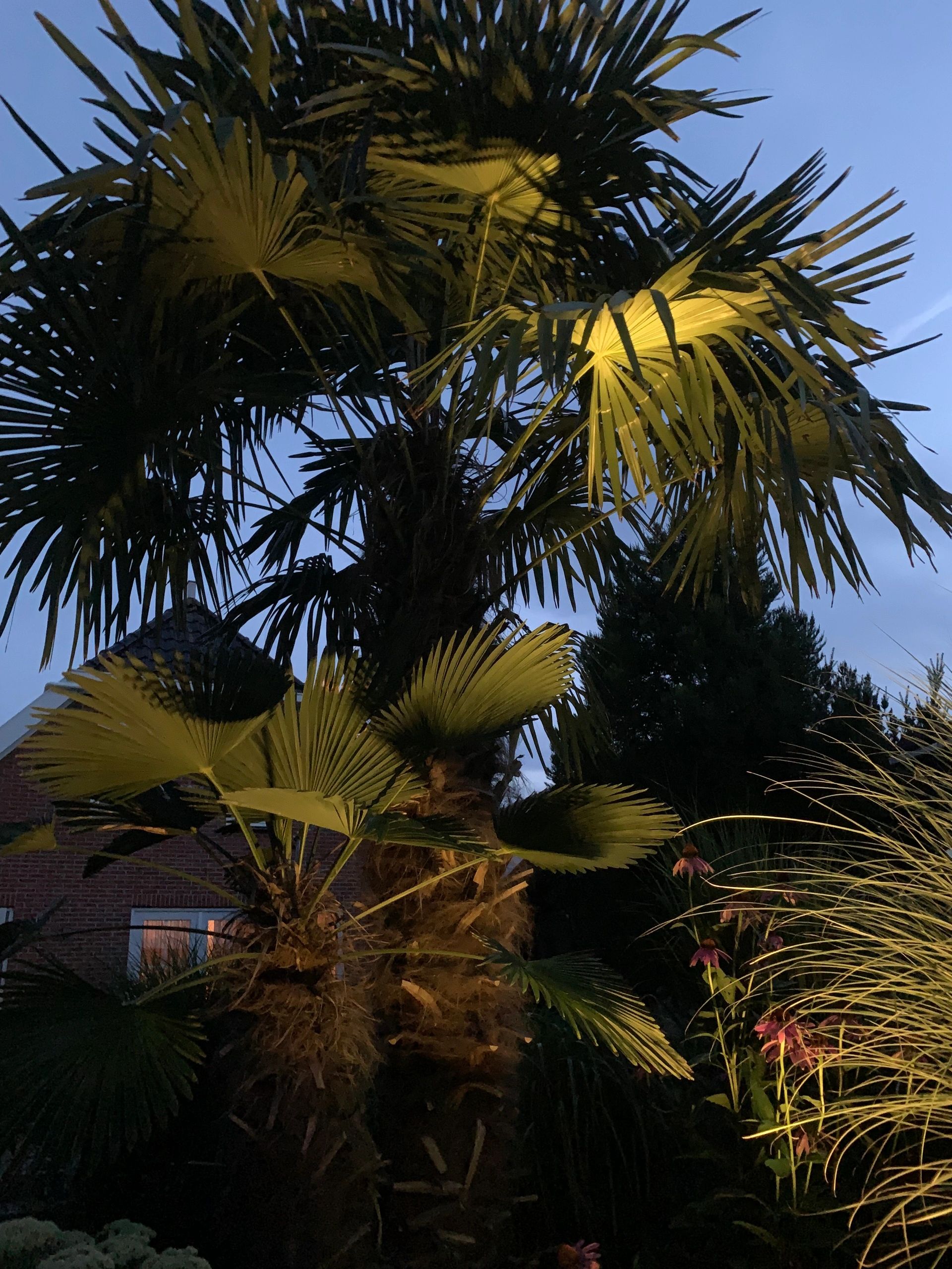 Solar spot Flood voor wandmontage of grondspies - buitenlamp op zonne energie