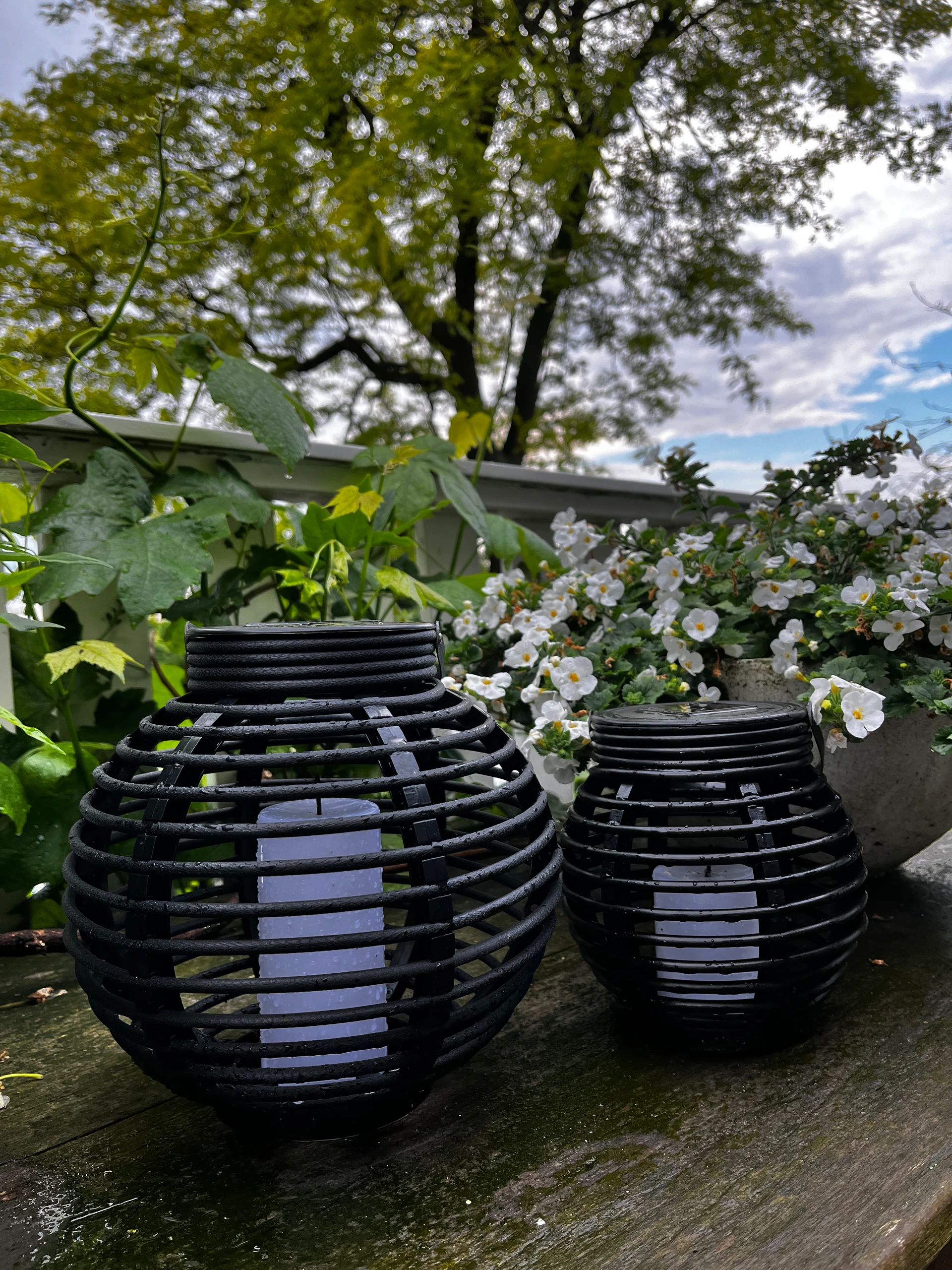 Solar Basket Small voordeelset 3 lampen op zonne energie