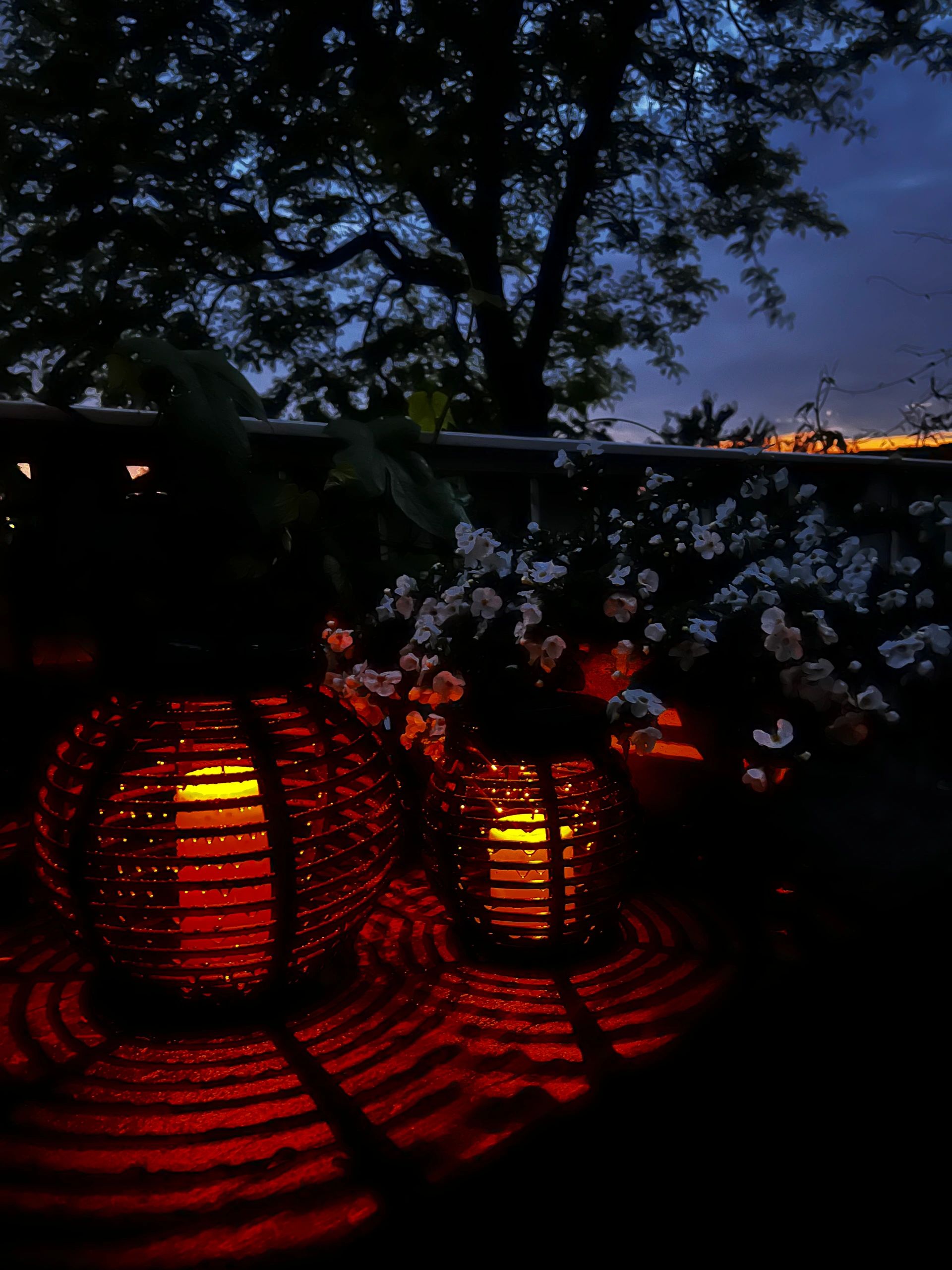 Solar Basket Small voordeelset 3 lampen op zonne energie