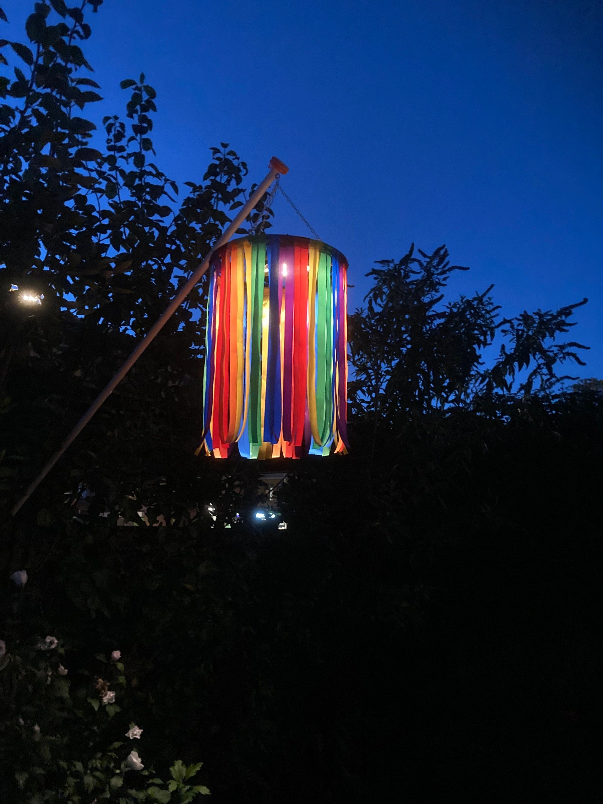 Solar wandlamp Slim met 36 leds en bewegingsmelder Zwart op zonne energie