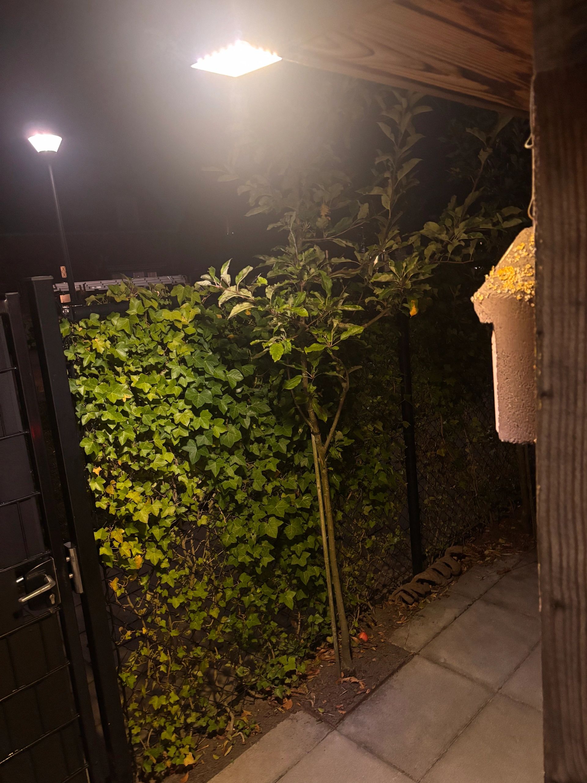 Solar LED wandlamp Slim | 36 leds | Met bewegingsmelder