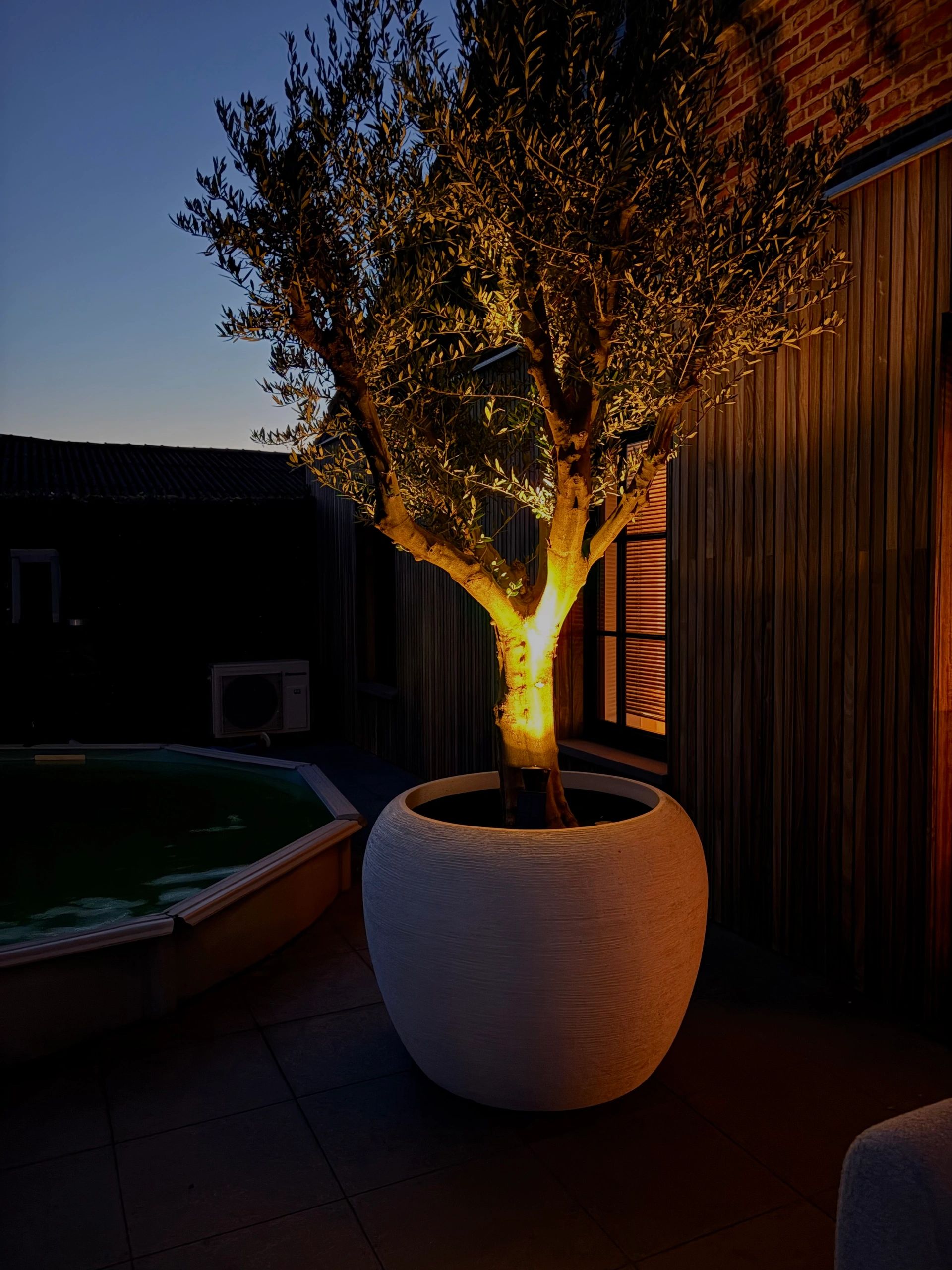 Solar wandspot Highlight voor wandmontage of grondspies - buitenlamp op zonne energie warm wit
