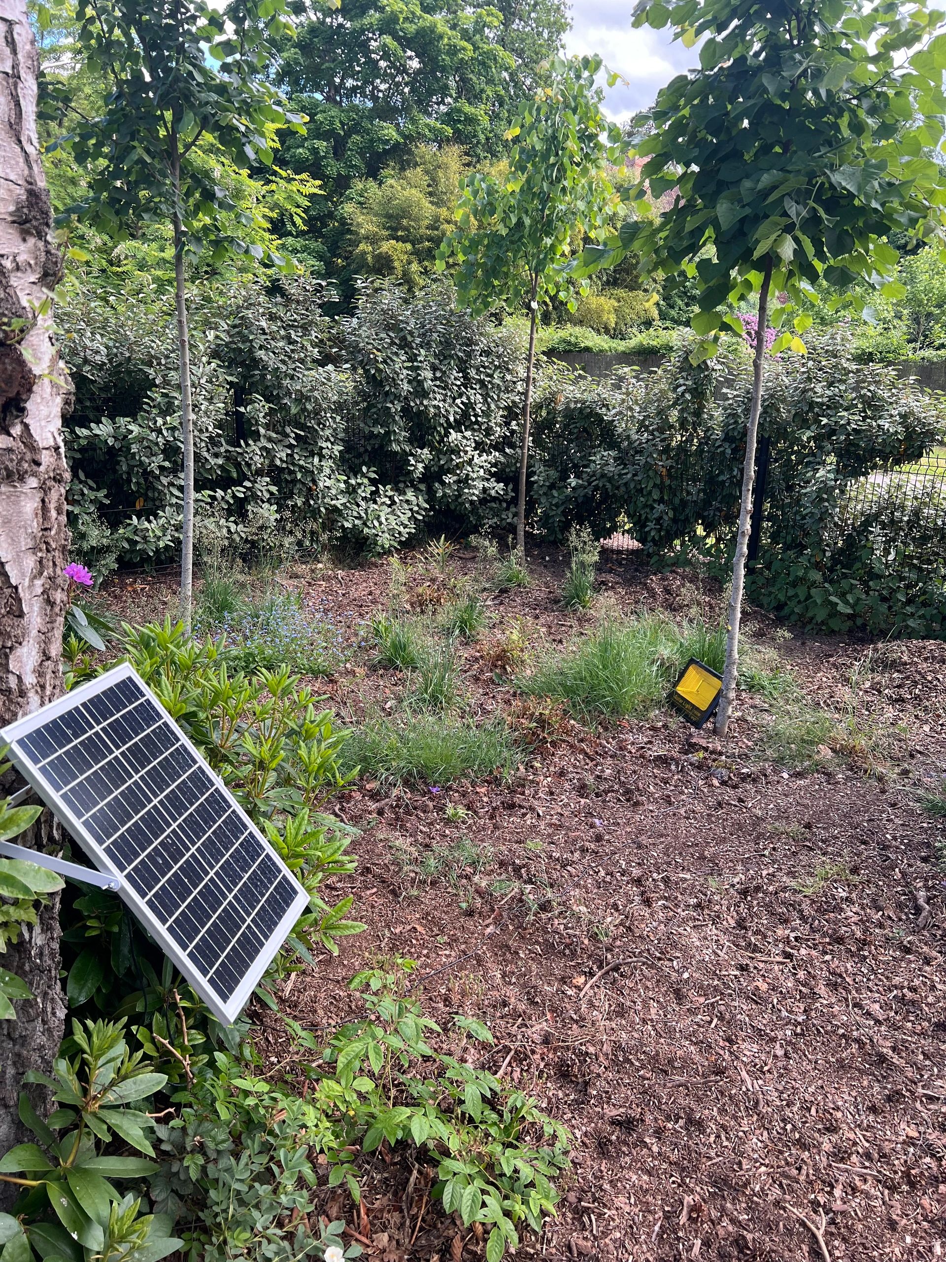 Solar wandlamp Capital IV met los zonnepaneel