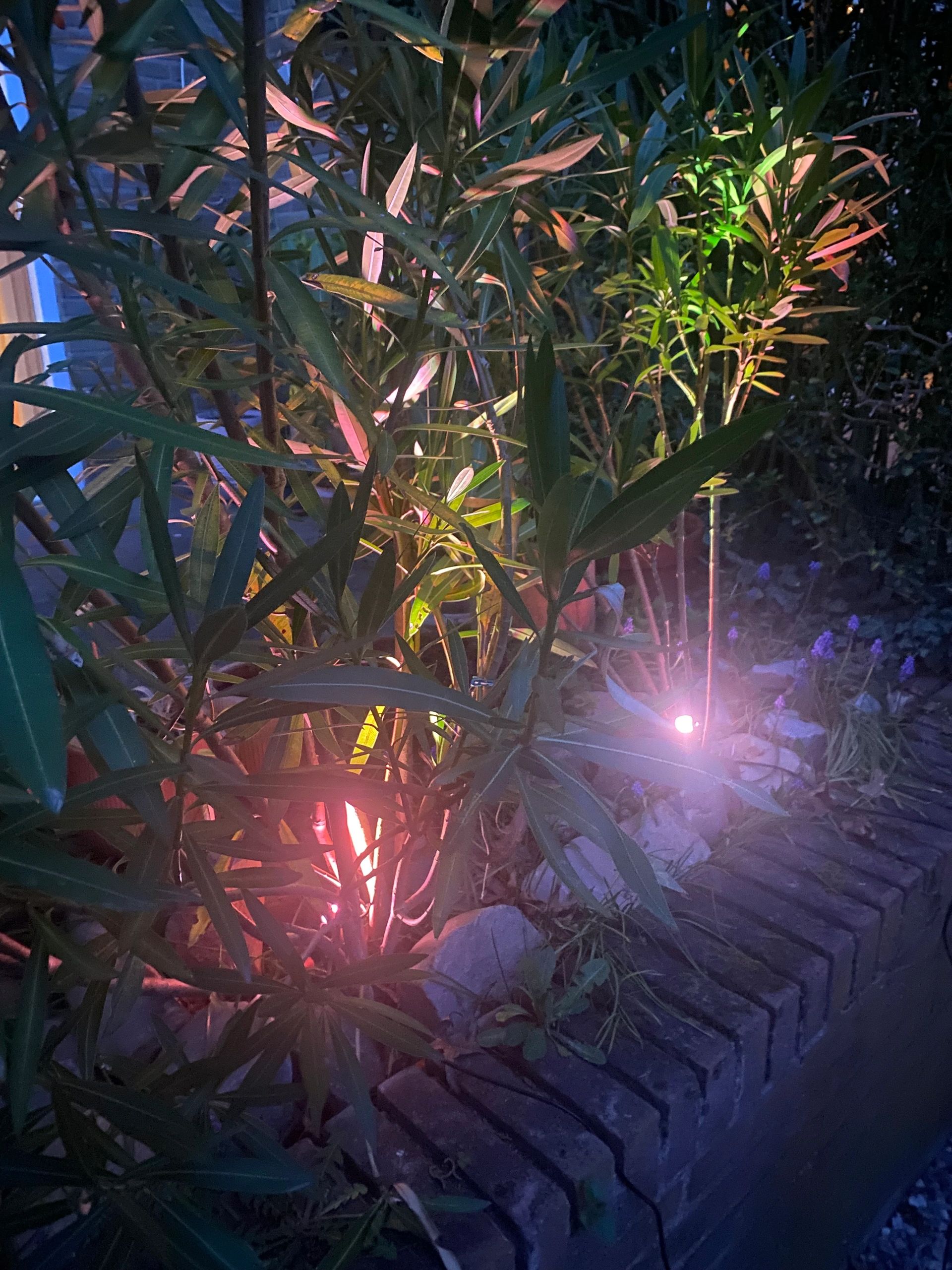 Solar tuinspots Double Twins met 4 slimme RGB spots en los zonnepaneel - Bedienen via de Smart Life app