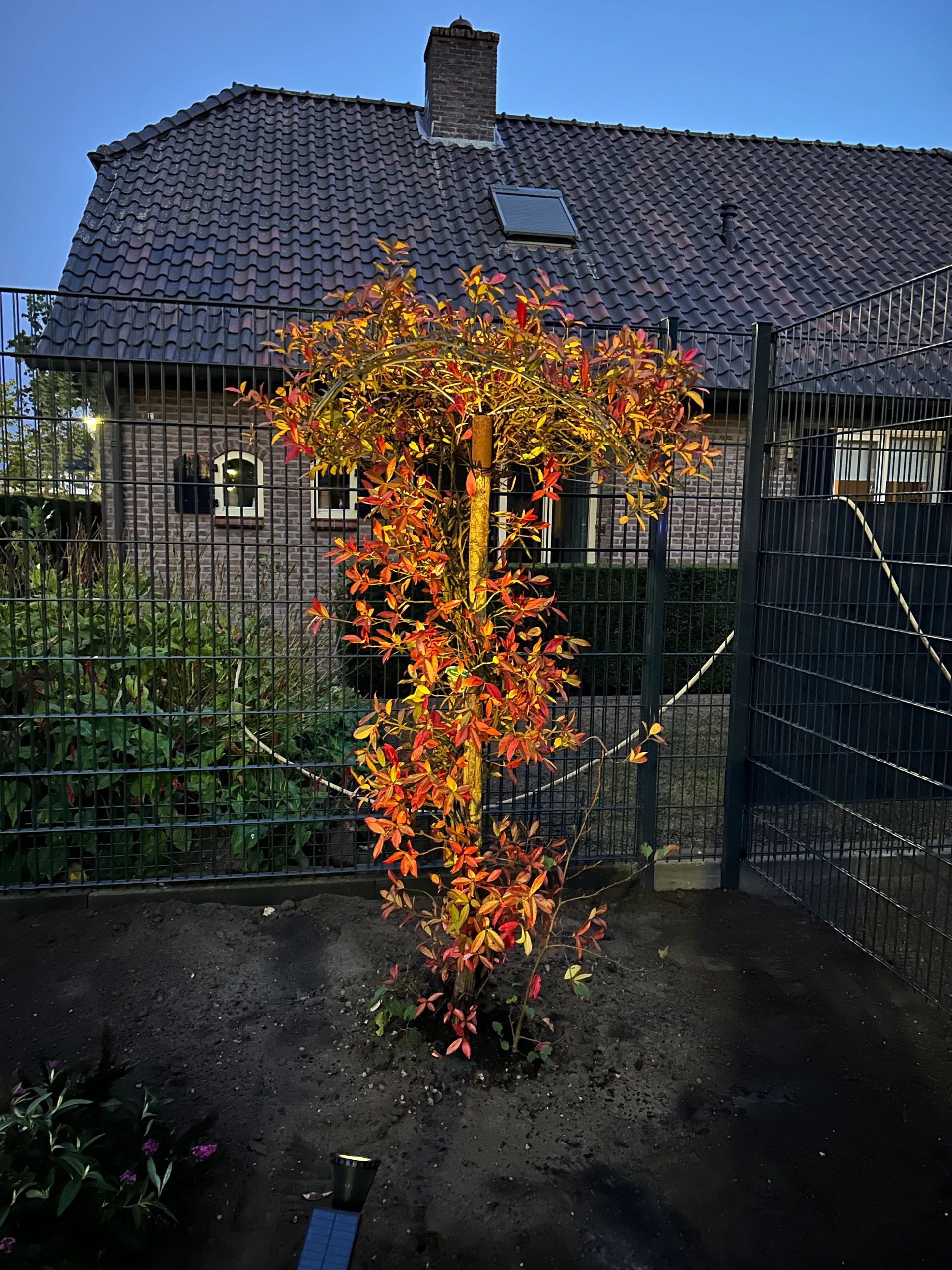 Solar spot Highlight voor wandmontage of grondspies warm wit voordeelset 2