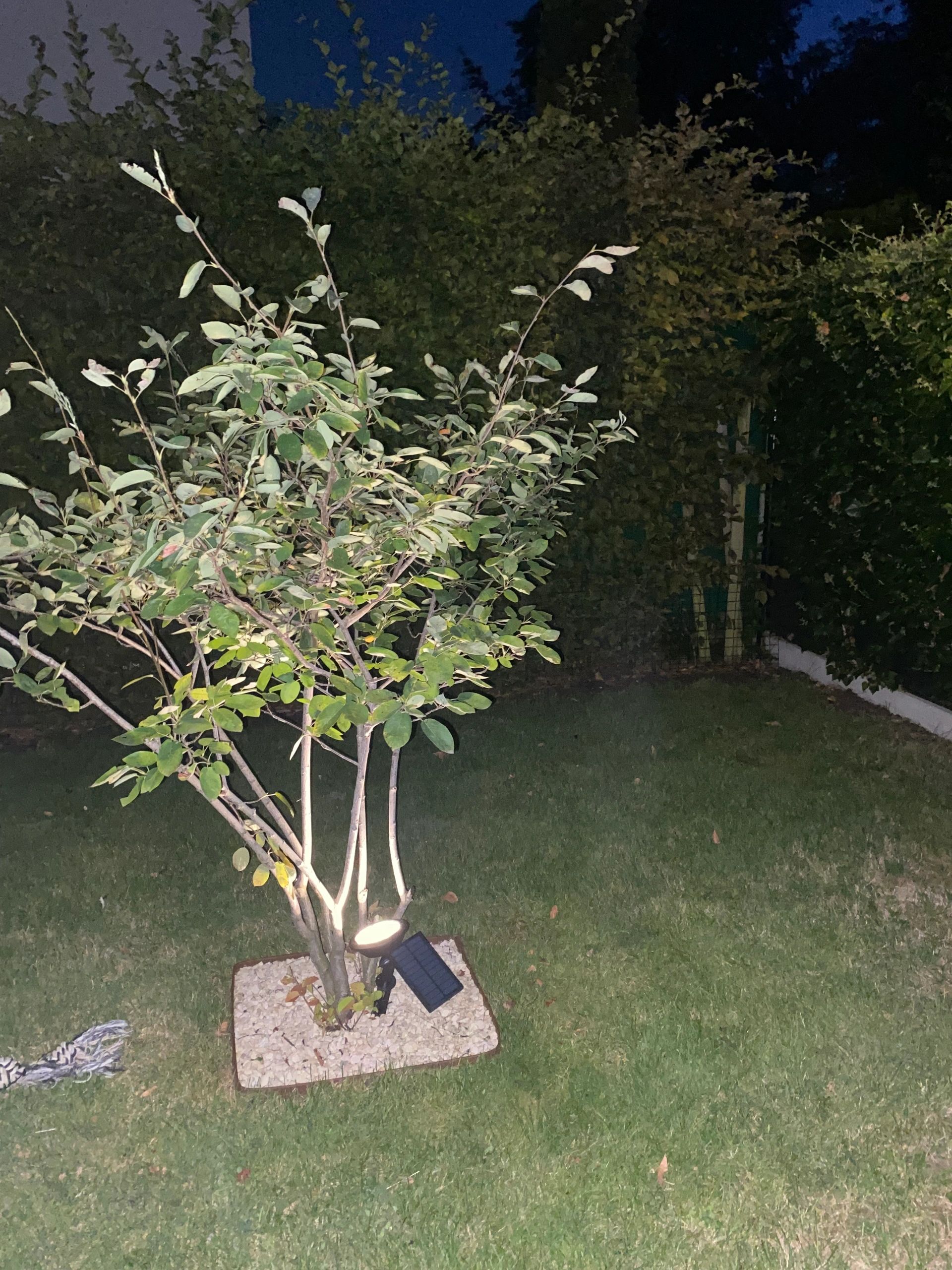 Solar spot Sunny Dual White tuinspot met grondspies - 3 stuks