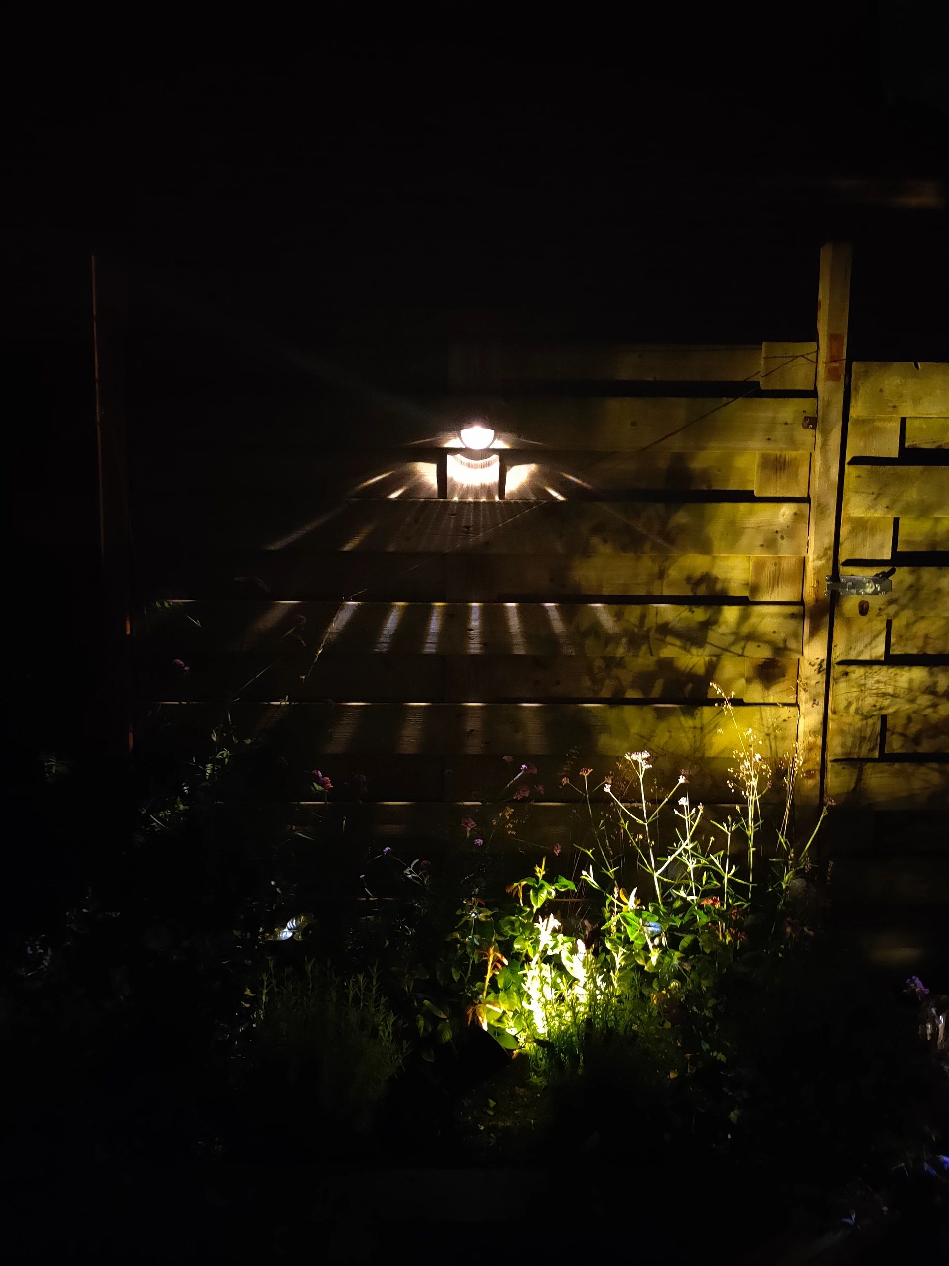 Solar wandlamp Shell op zonne-energie set van 4