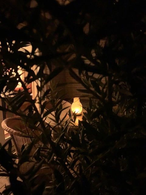 Solar LED lantaarn Genie met realistisch vlam-effect - op zonne energie