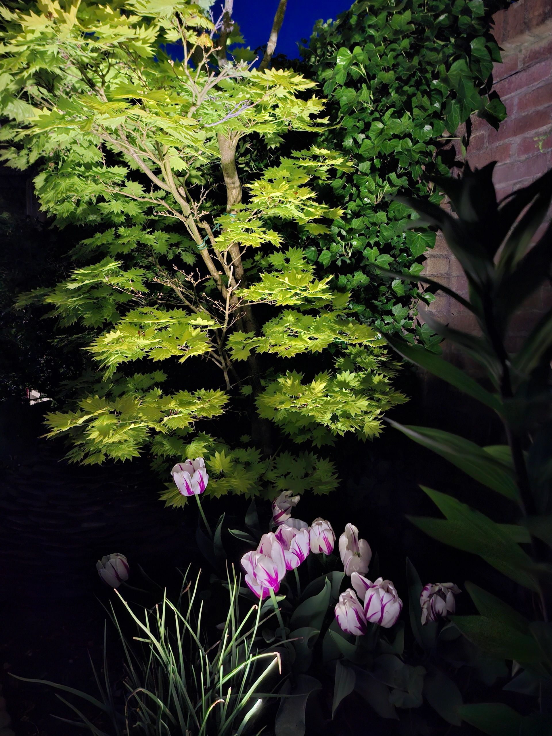 Solar wandspot Highlight voor wandmontage of grondspies - buitenlamp op zonne energie warm wit