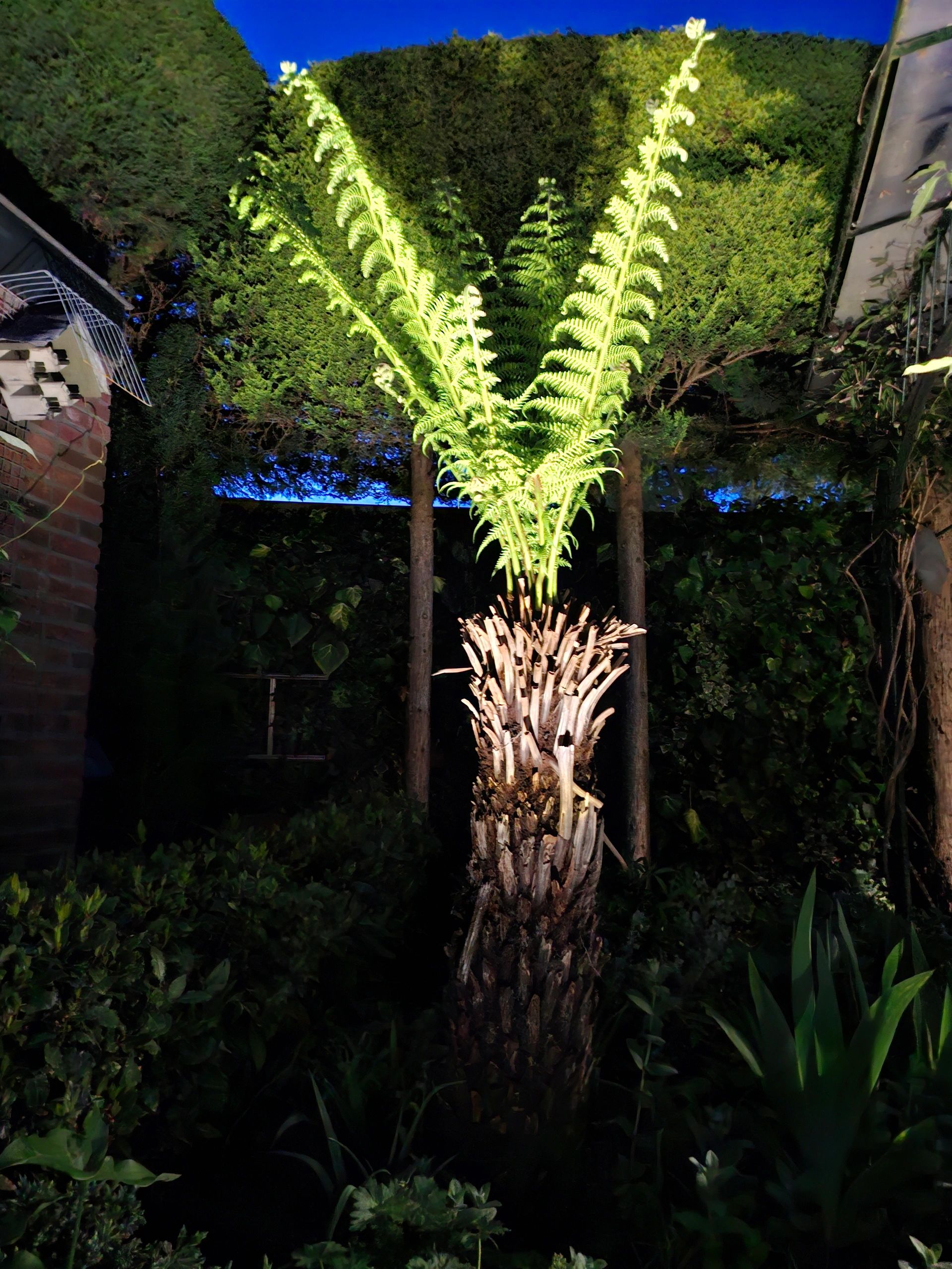 Solar wandspot Highlight voor wandmontage of grondspies - buitenlamp op zonne energie warm wit
