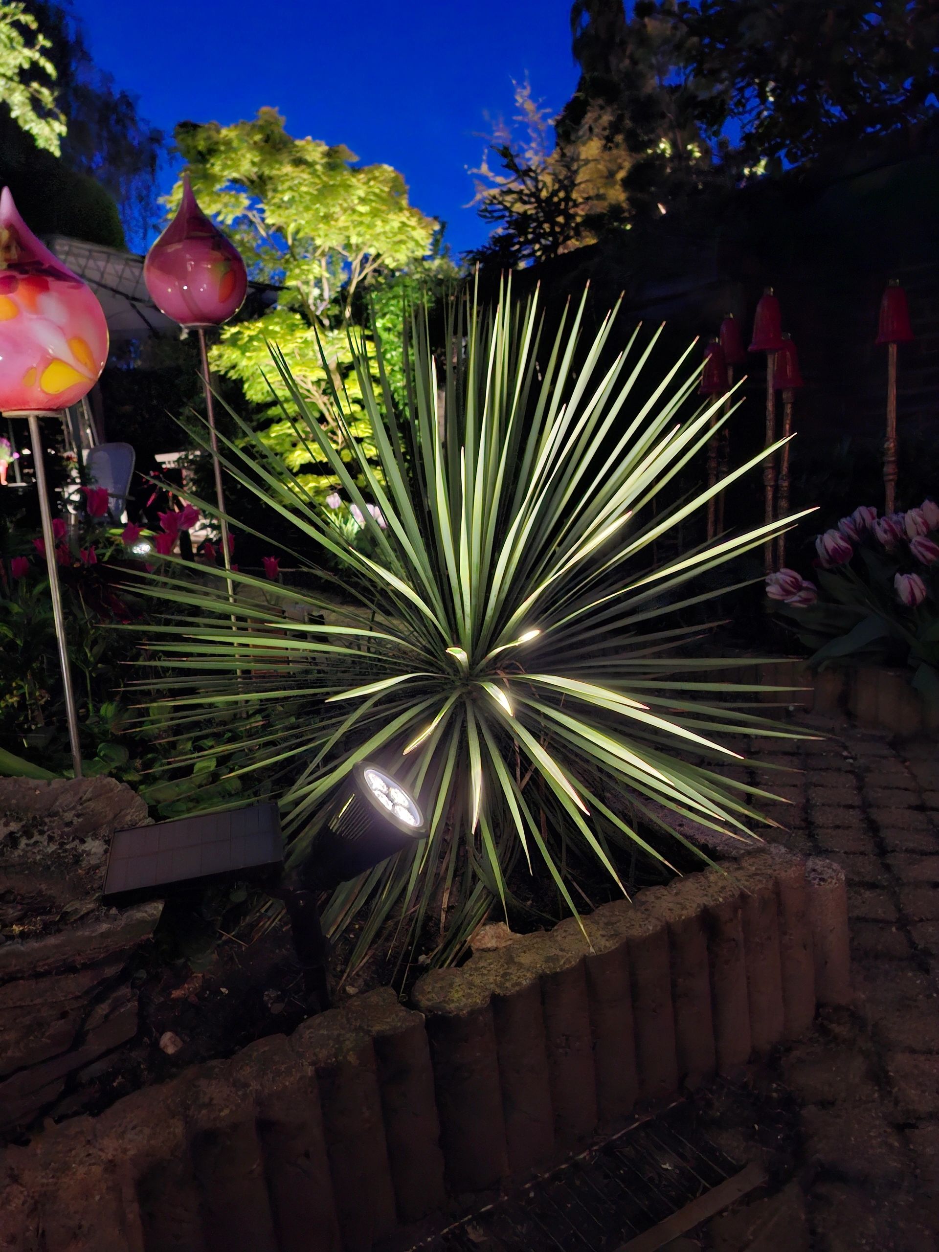 Solar wandspot Highlight voor wandmontage of grondspies - buitenlamp op zonne energie warm wit