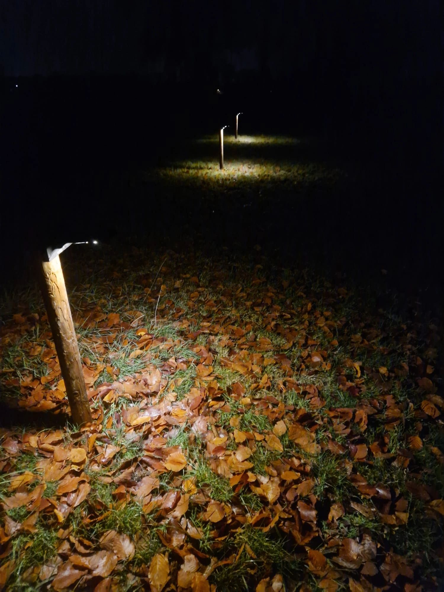 Solar wandlamp Slim met 36 leds en bewegingsmelder Zwart op zonne energie voordeelset