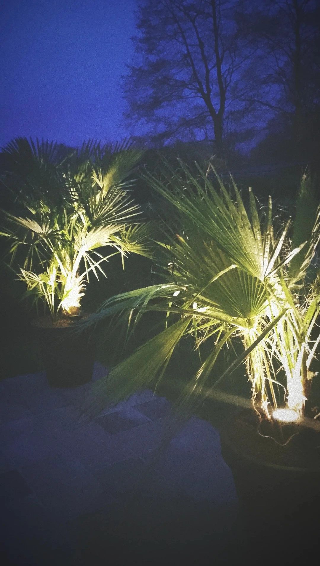 Solar spot Sunny Dual White tuinspot met grondspies - 3 stuks