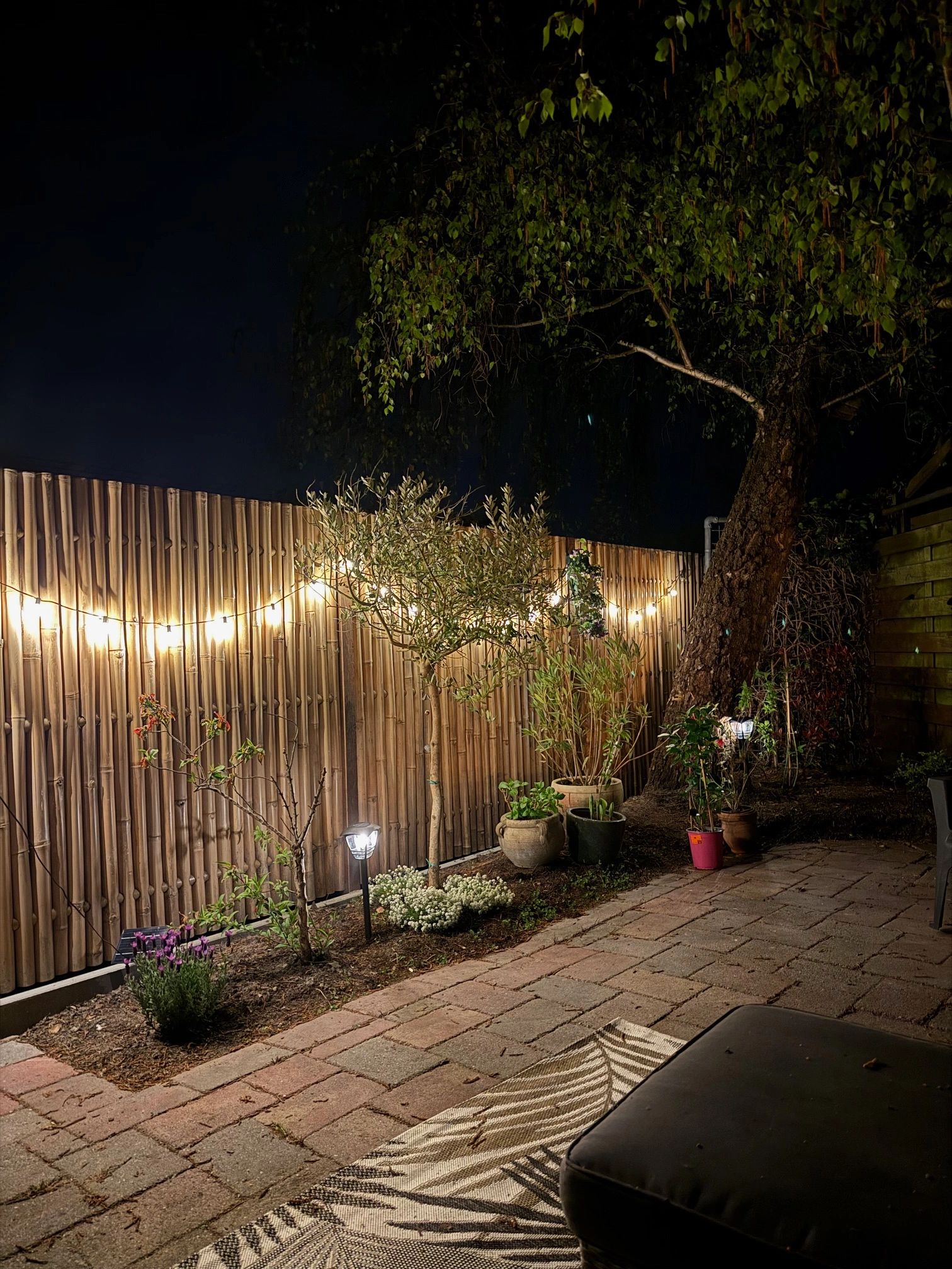 Solar LED priklamp Prickle | Warm wit licht | Voordeelset van 4 stuks