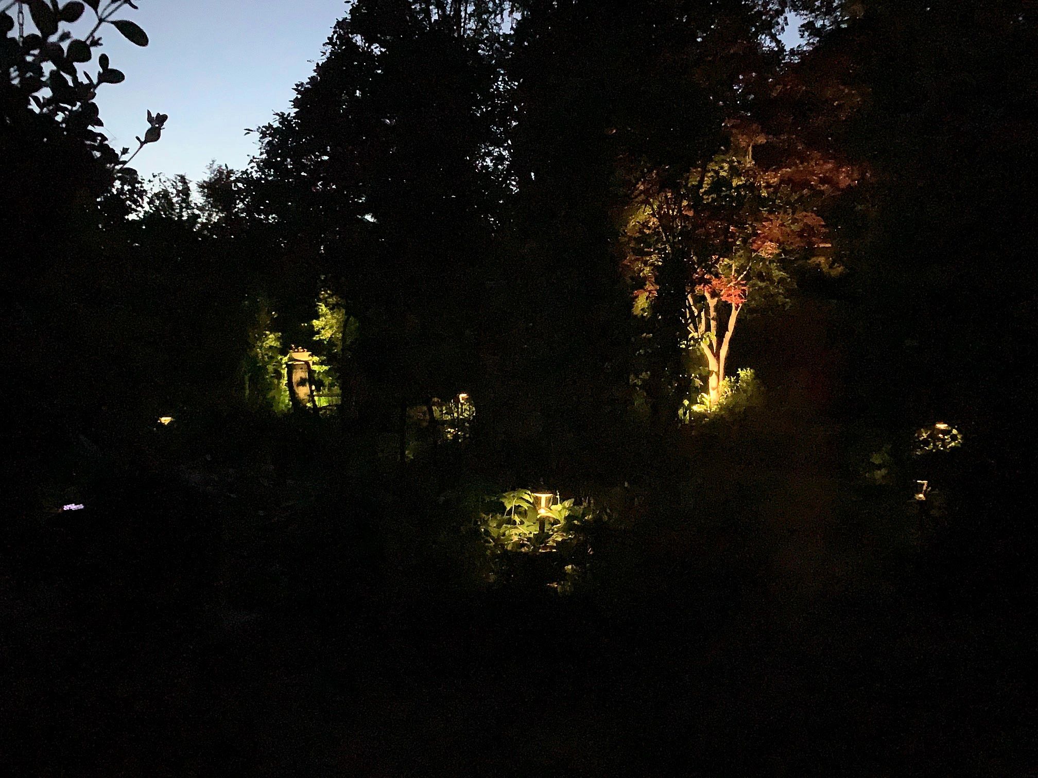 Solar priklamp Birdie zwart met warm wit licht
