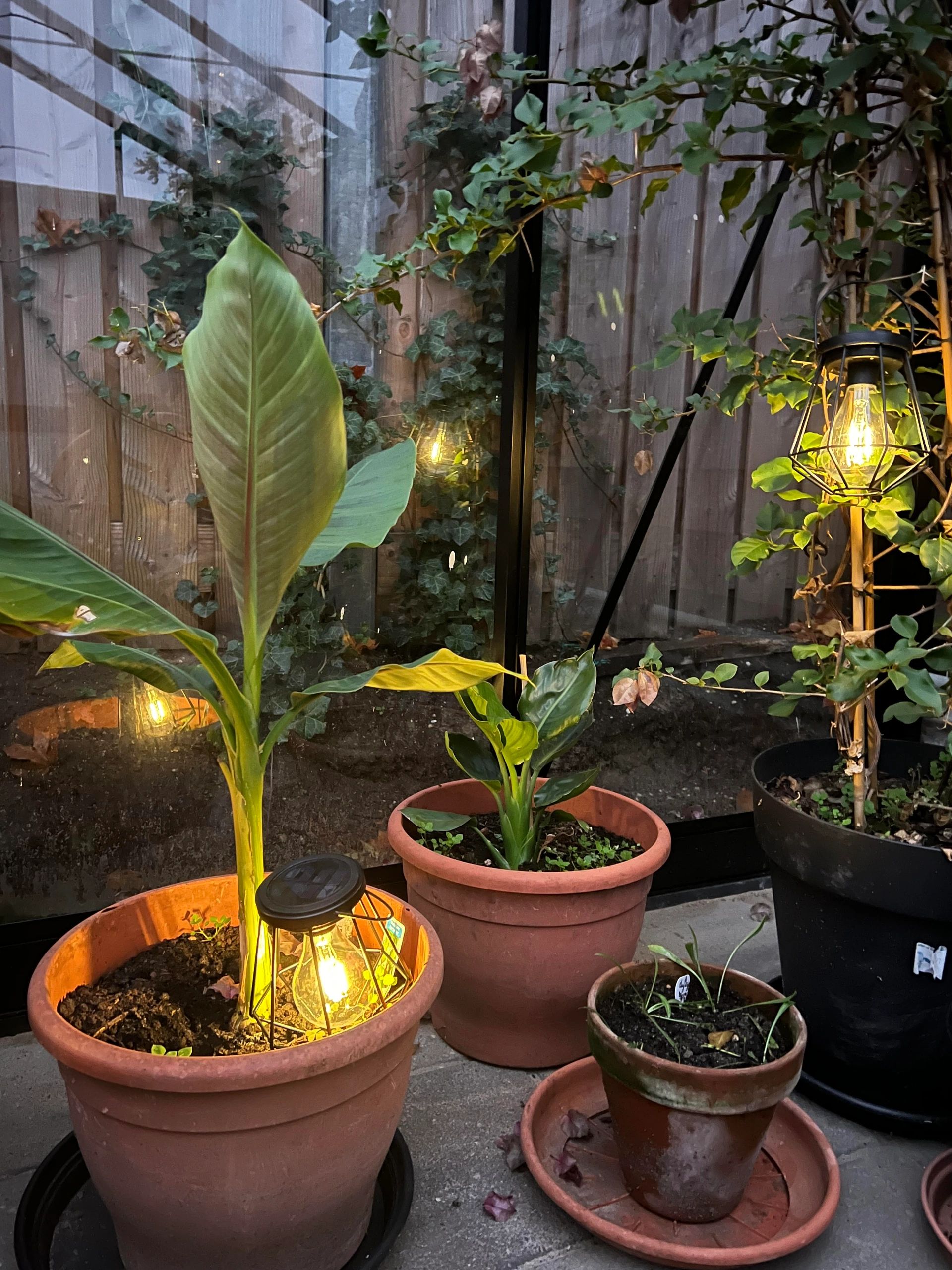3 stuks Solar LED lamp Vogue zwarte buitenlamp op zonne energie